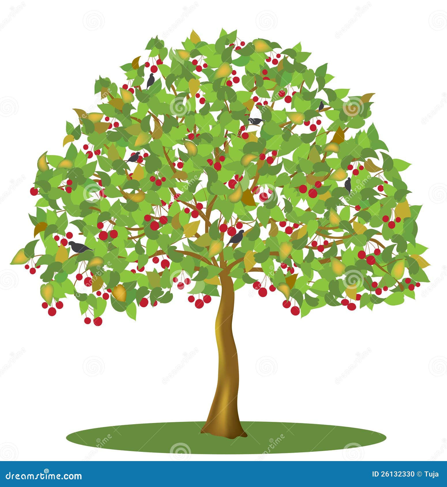 clipart cherry tree - photo #28