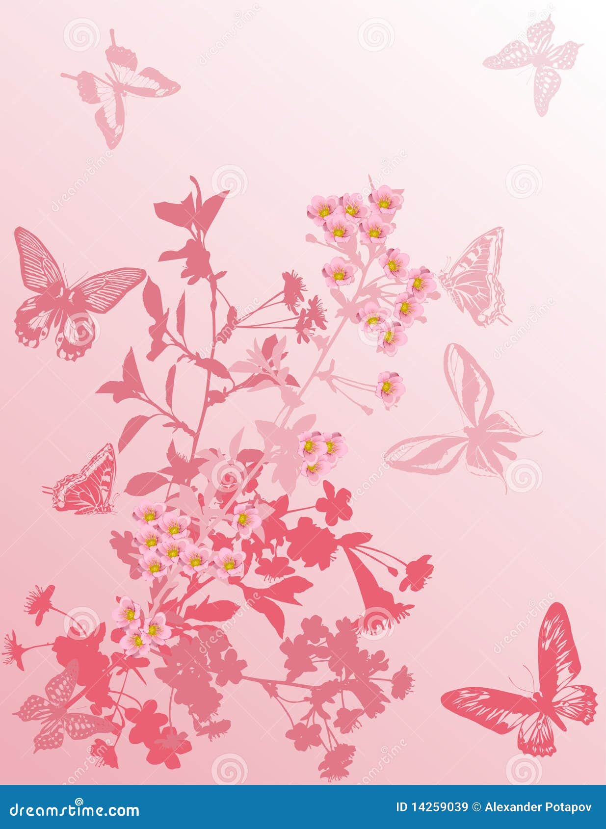 Cherry Tree Flowers and Butterflies on Pink Stock Vector Illustration