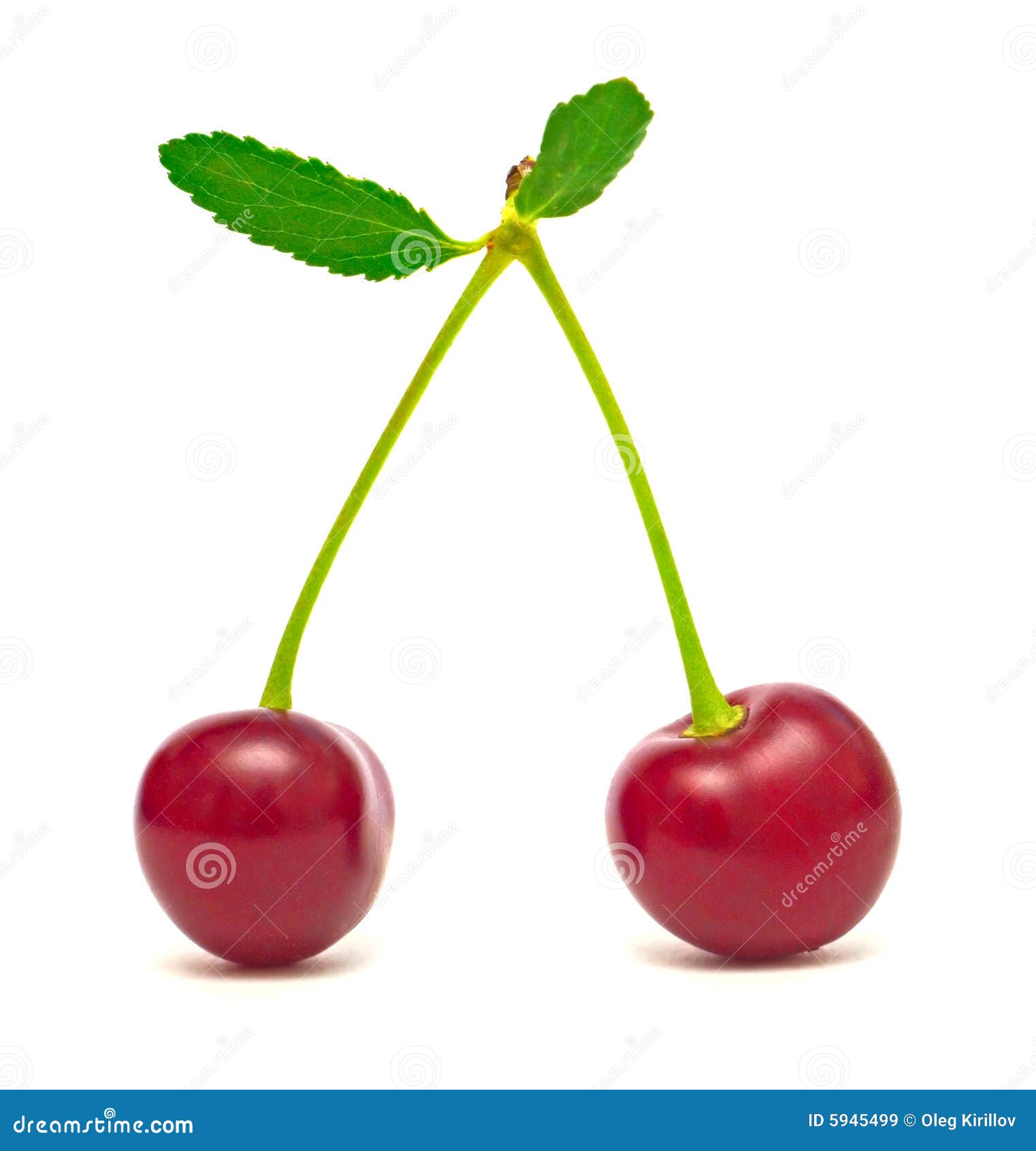 Cherry on white stock image. Image of berry, shadow, pair - 5945499