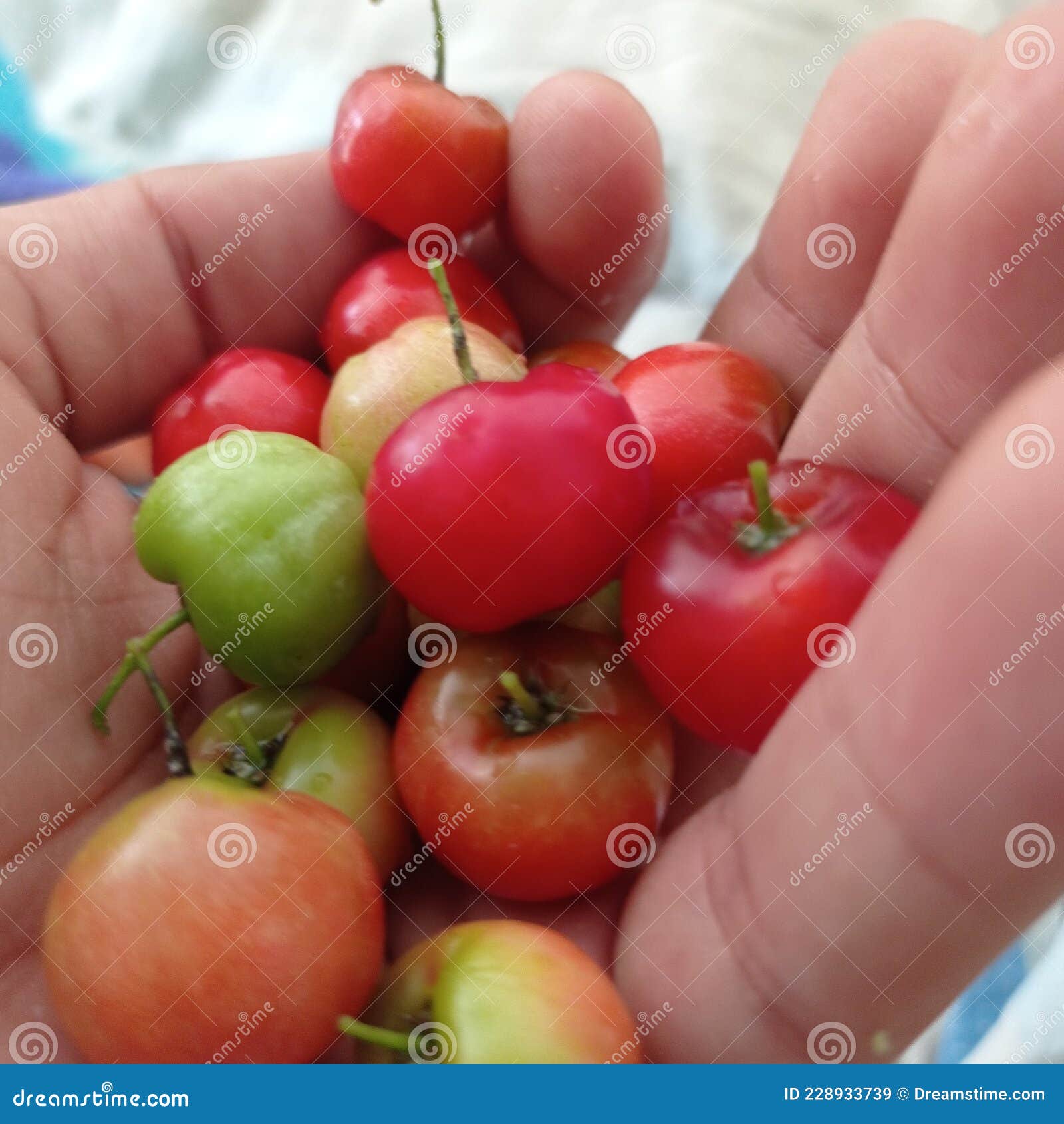 cherryes colombians