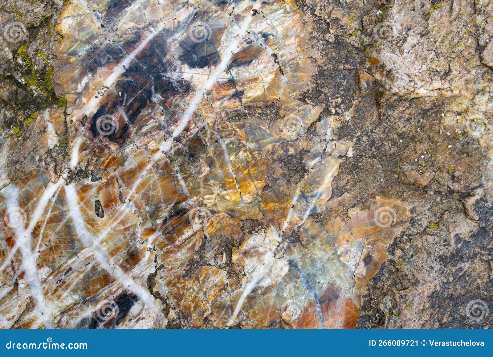 The Chert Fine Grained Quartz Stone with Visible Details Stock Image