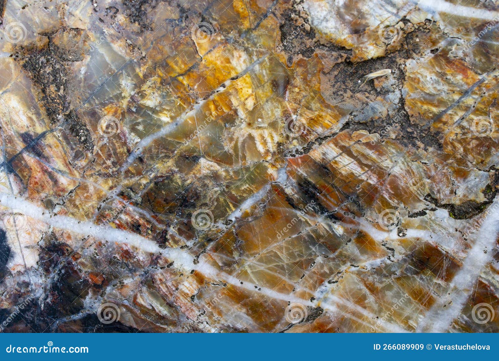 The Chert Fine Grained Quartz Stone with Visible Details Stock Image