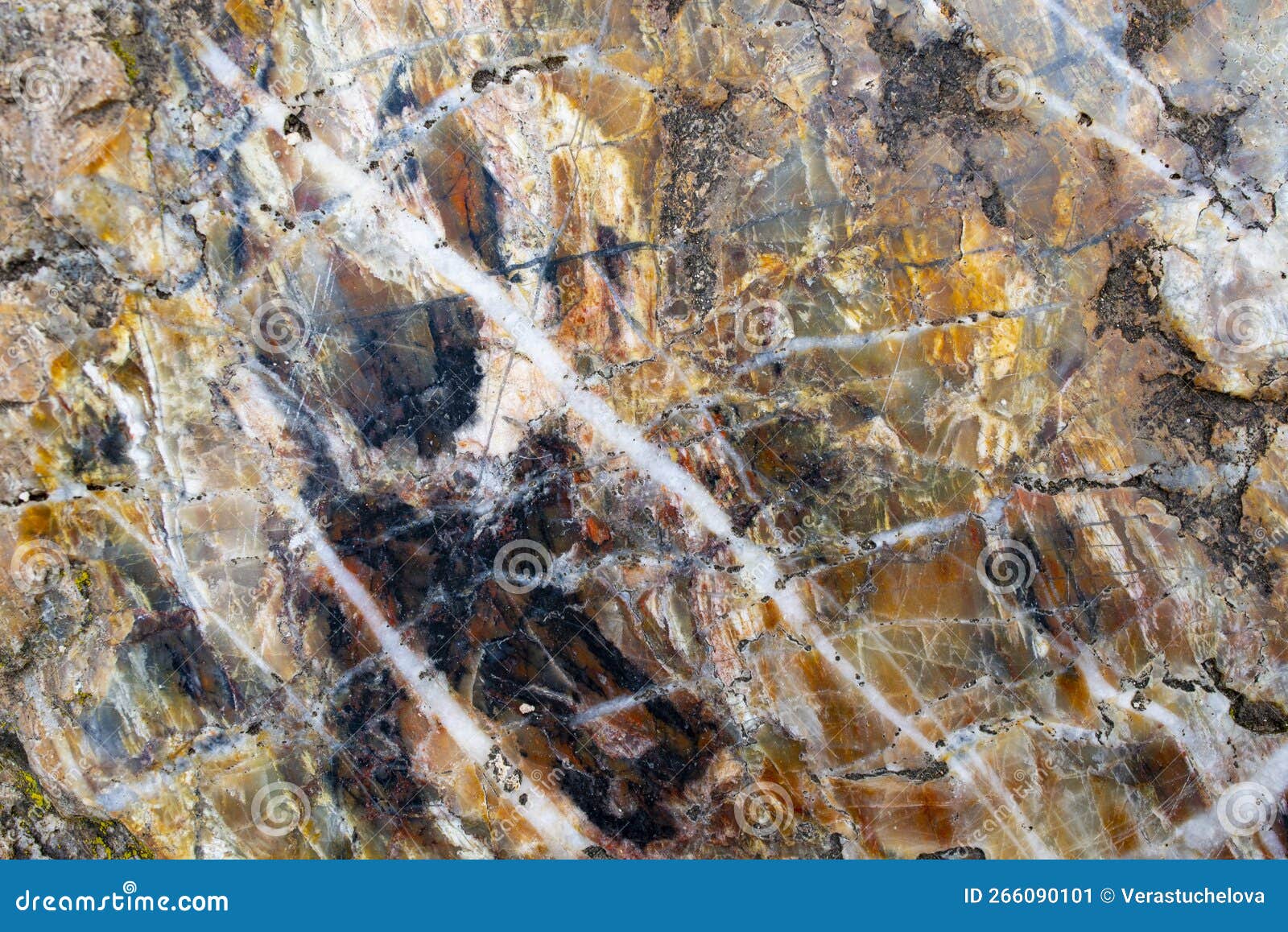 The Chert Fine Grained Quartz Stone with Visible Details Stock Image