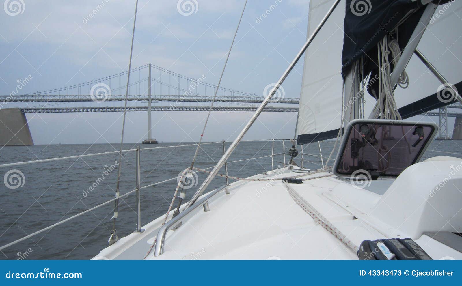 Chesapeake Bay stock image. Image of fresh, large, boats 