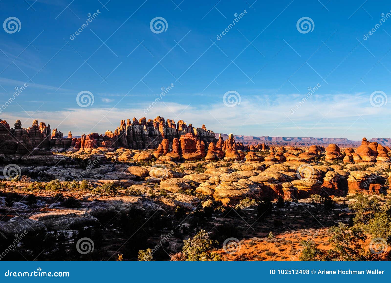 Cheslerpark Stock Photos Free Royalty Free Stock Photos from Dreamstime