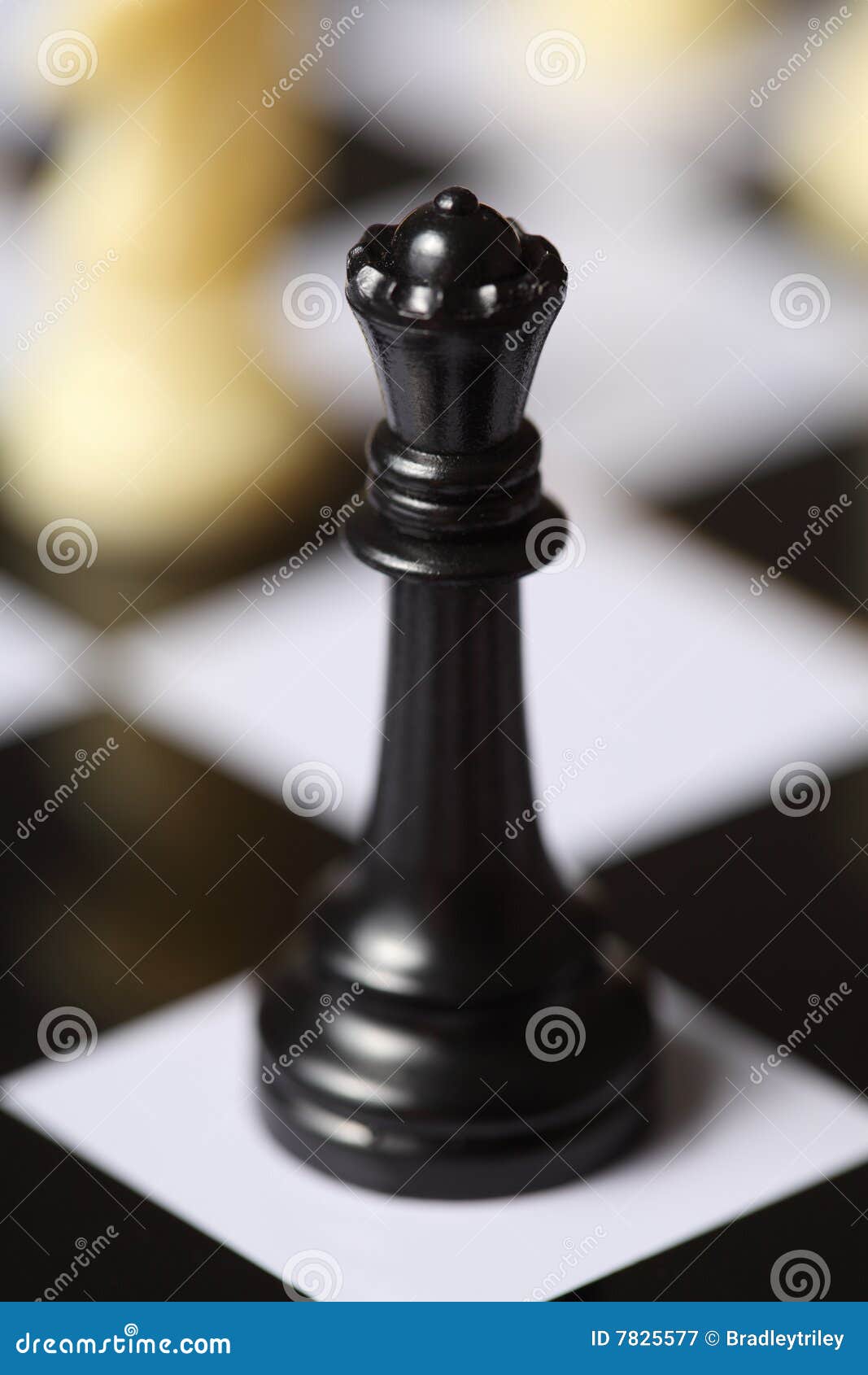 18,700+ Black Queen Chess Stock Photos, Pictures & Royalty-Free