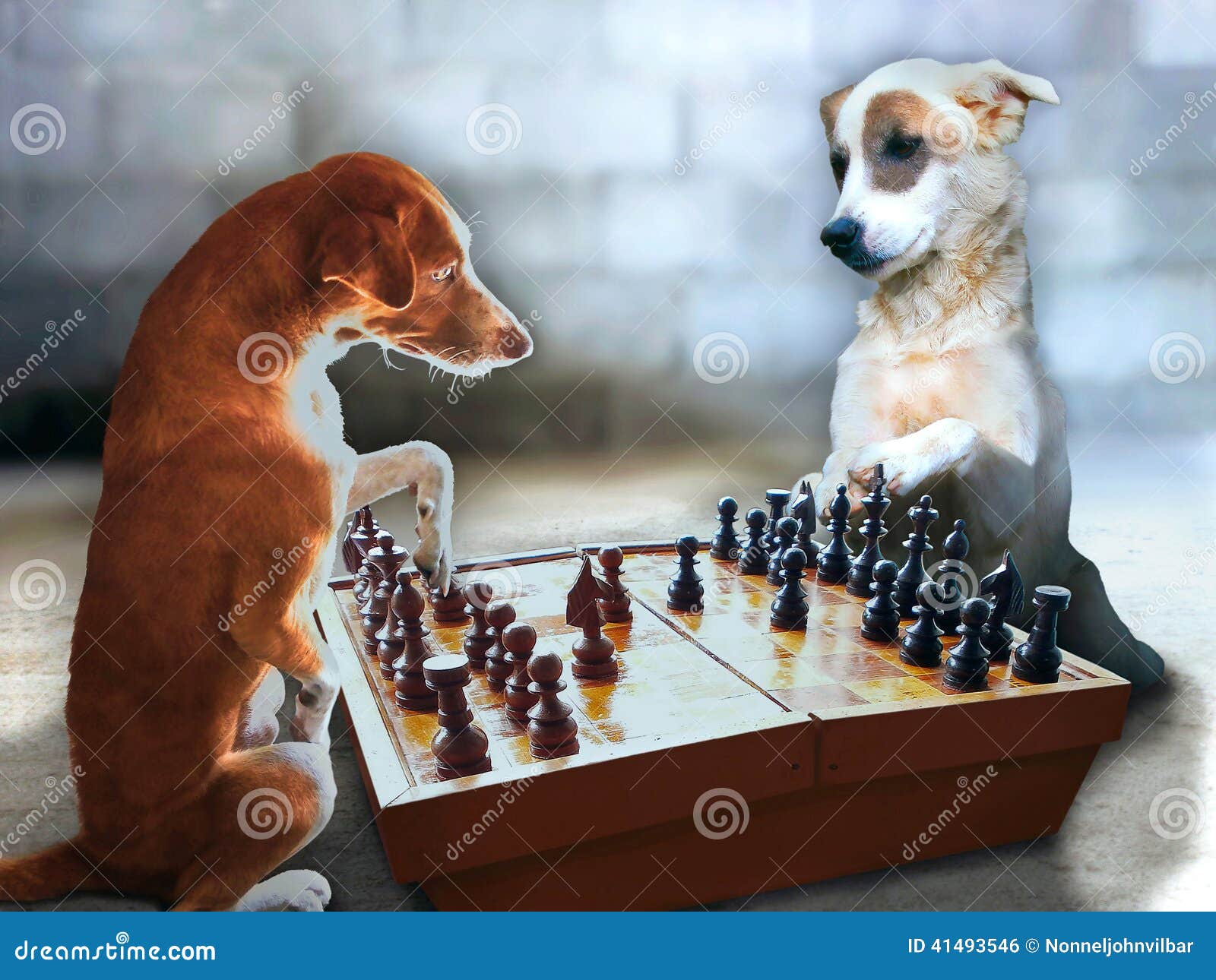 Chess Dogs stock photo. Image of garage, game, brainy 41493546