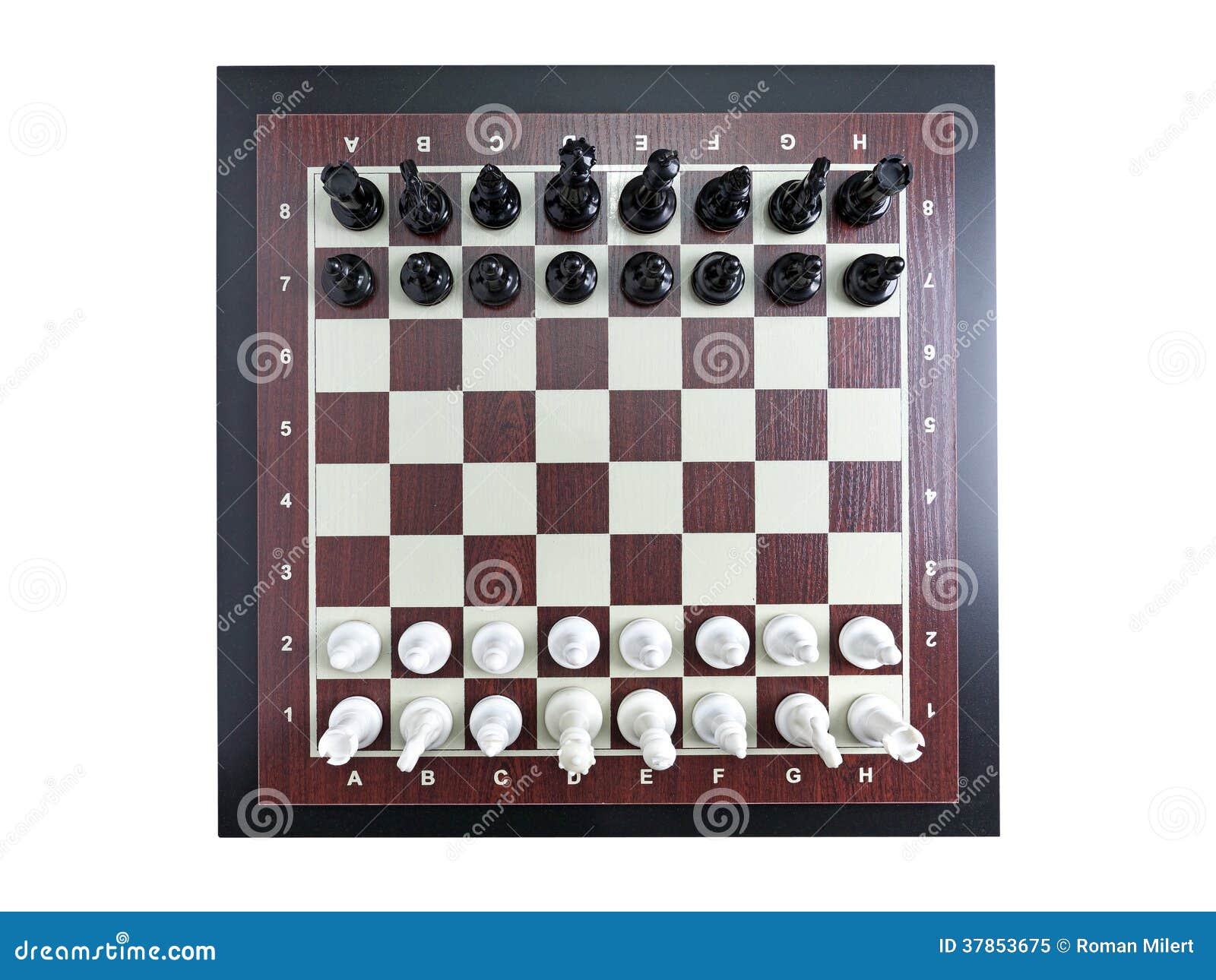 Hotel business chess concept Royalty Free Vector Image