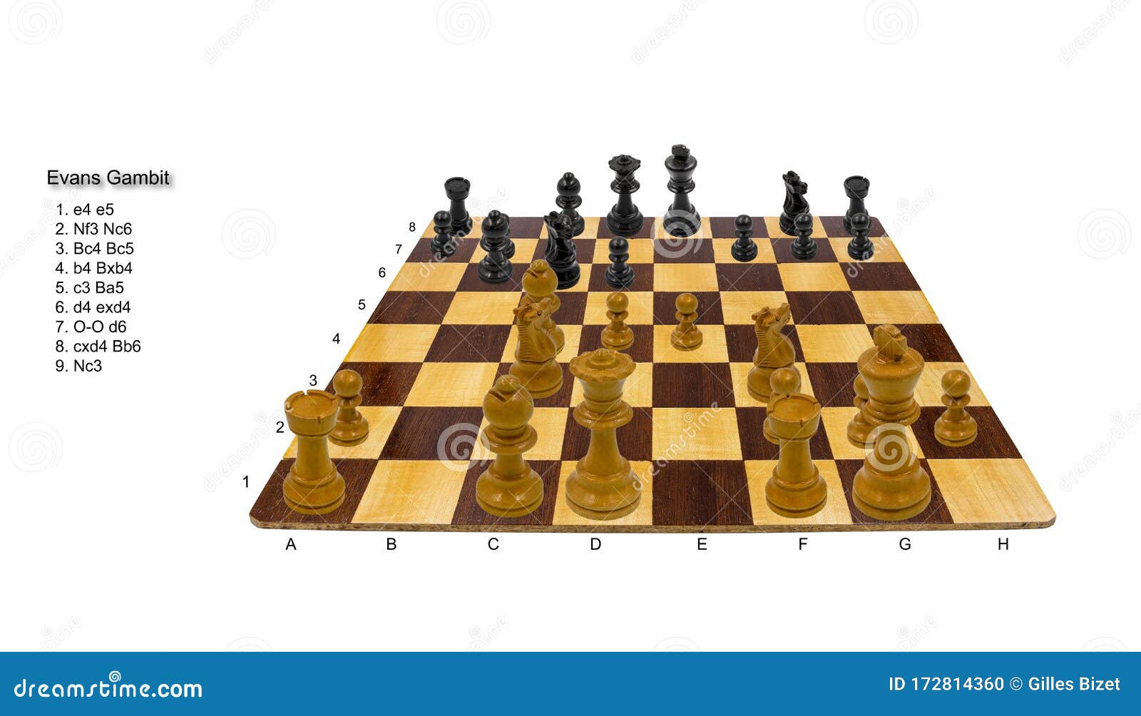 Chess Board with Pieces (Coordinate Notation)