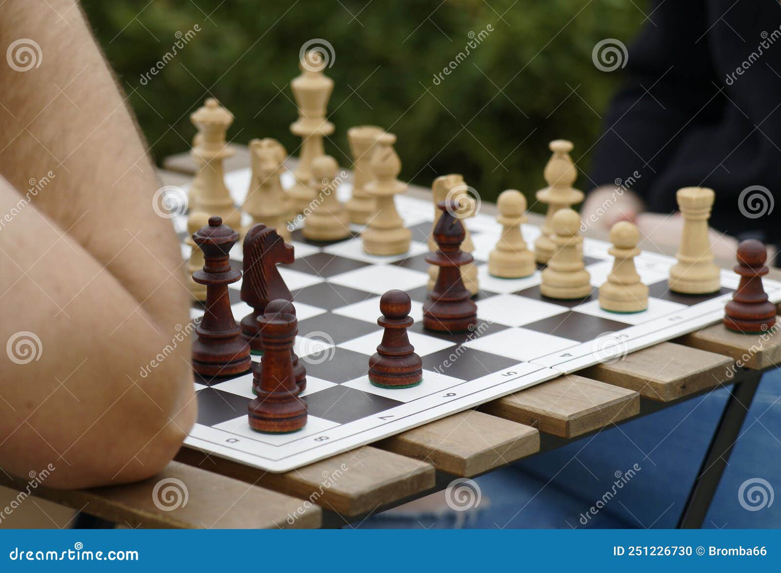 Chess Game in the Open Air with Wooden Chess with Parts of the