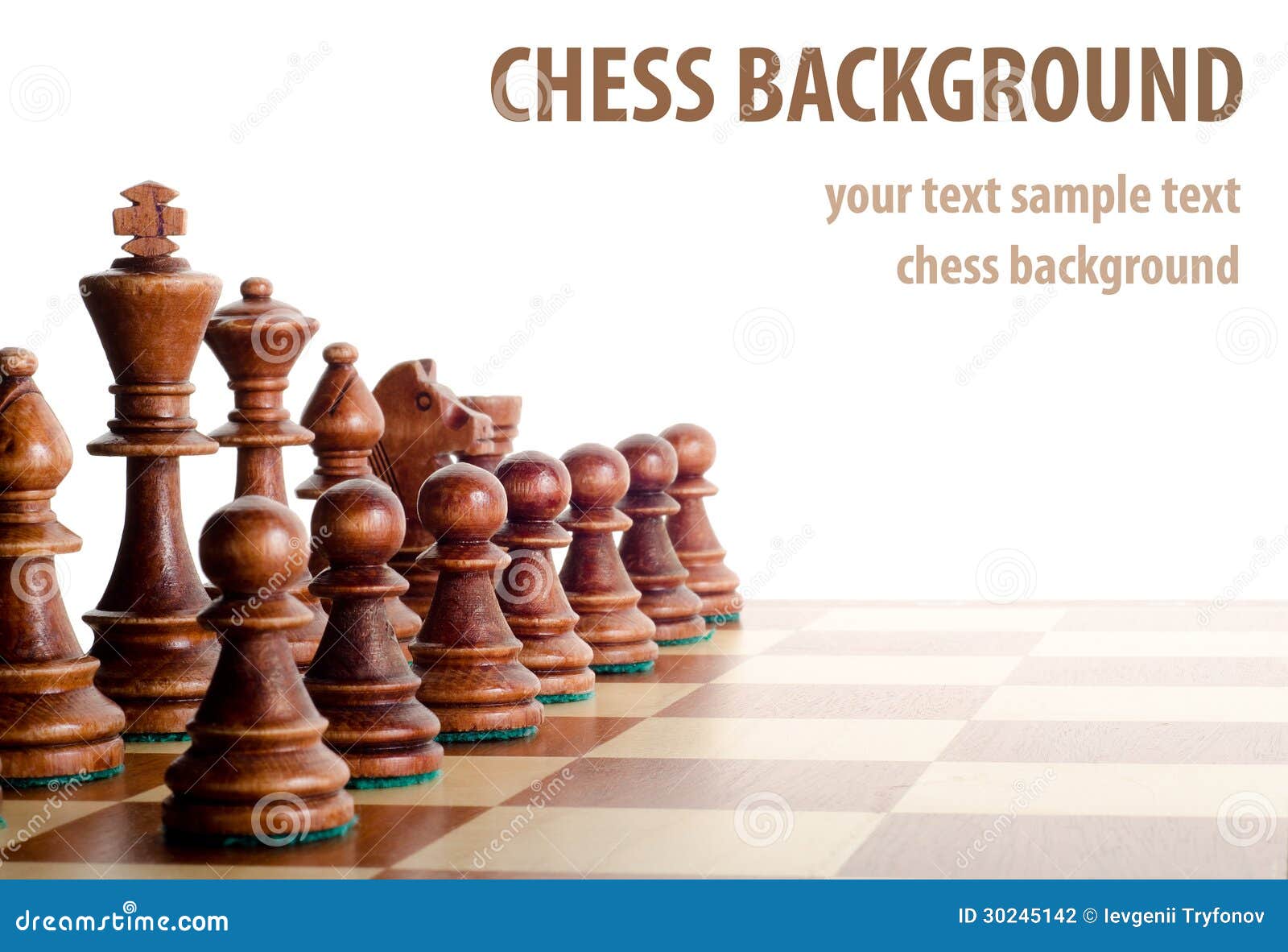 Opening Chess Photo Chess Pieces Position Stock Photo 2343348127