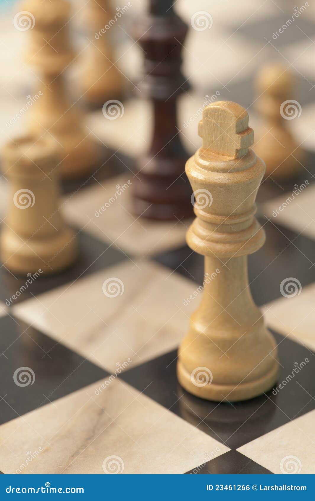 24+ Thousand Chess Pieces Isolated Royalty-Free Images, Stock