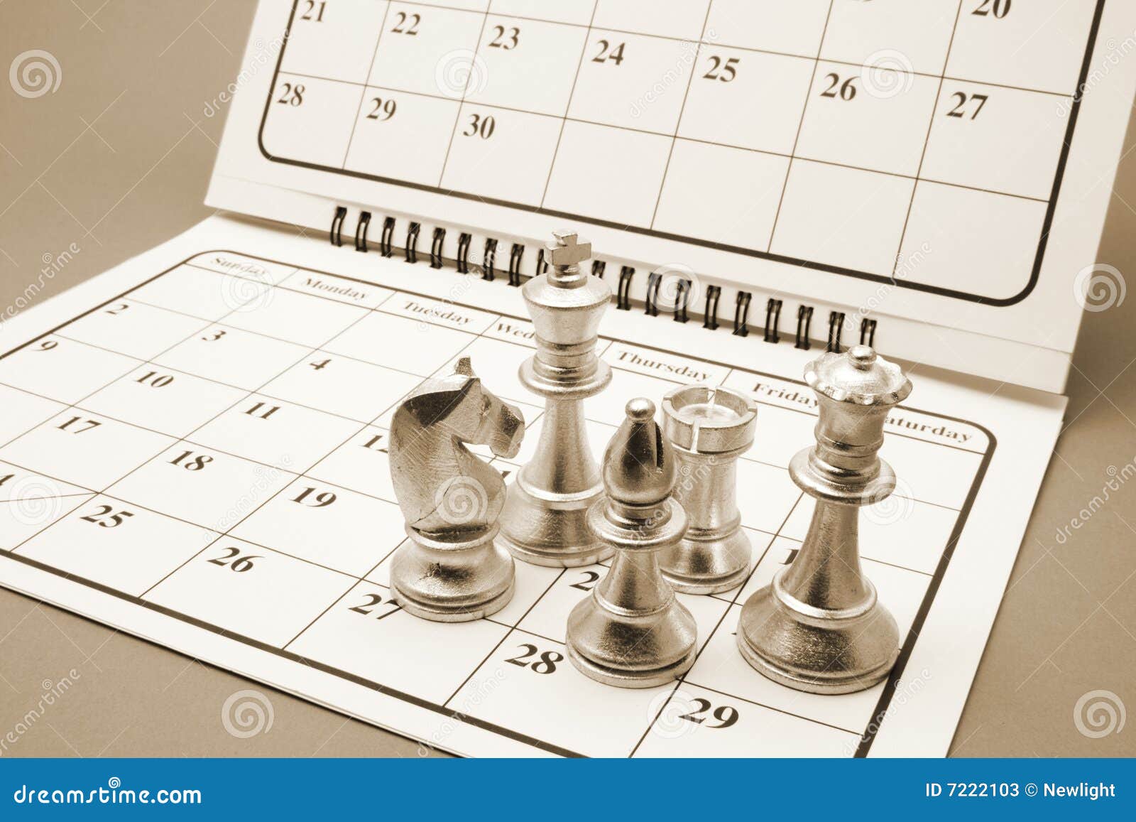 Chess 2025 Calendar Tania Florenza