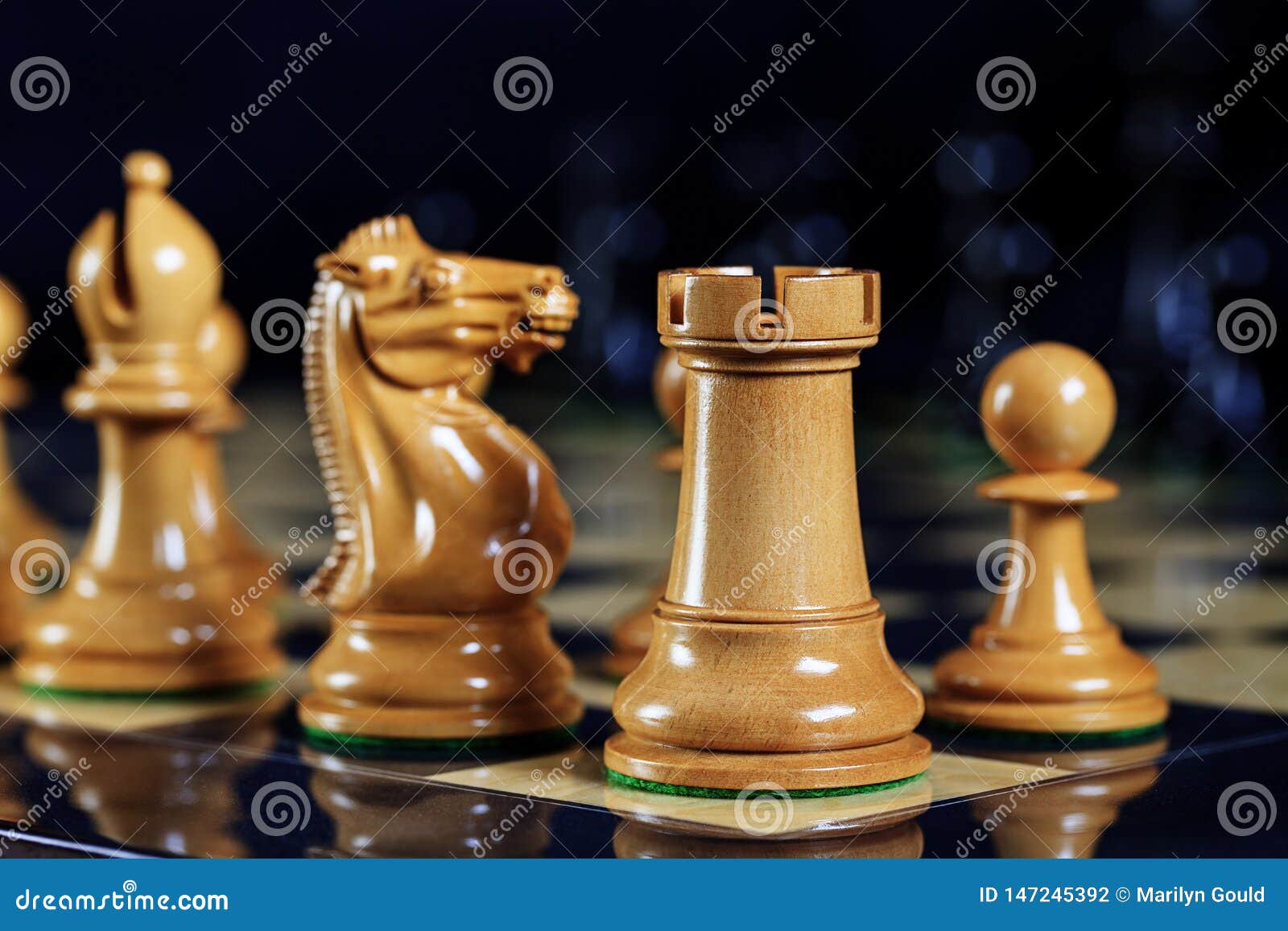 chess pieces rook, knight, bishop and pawn on chess board