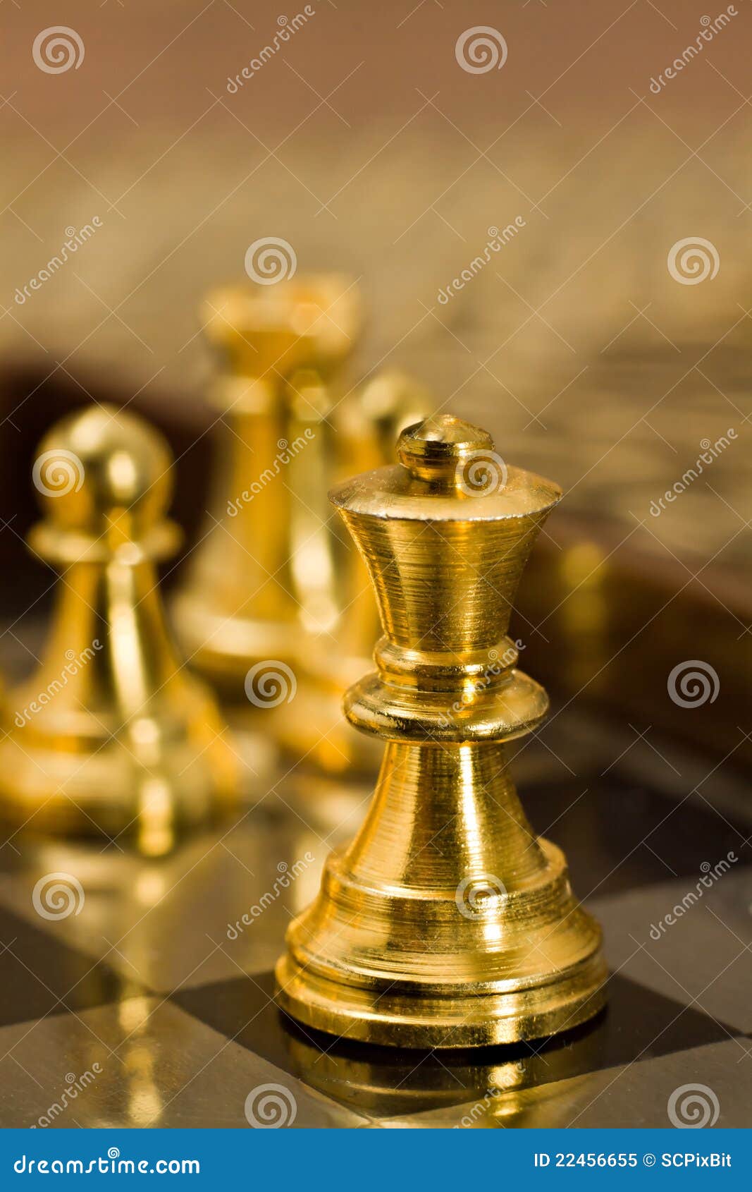 Chess (the Queen) stock image. Image of chess, regulations 22456655