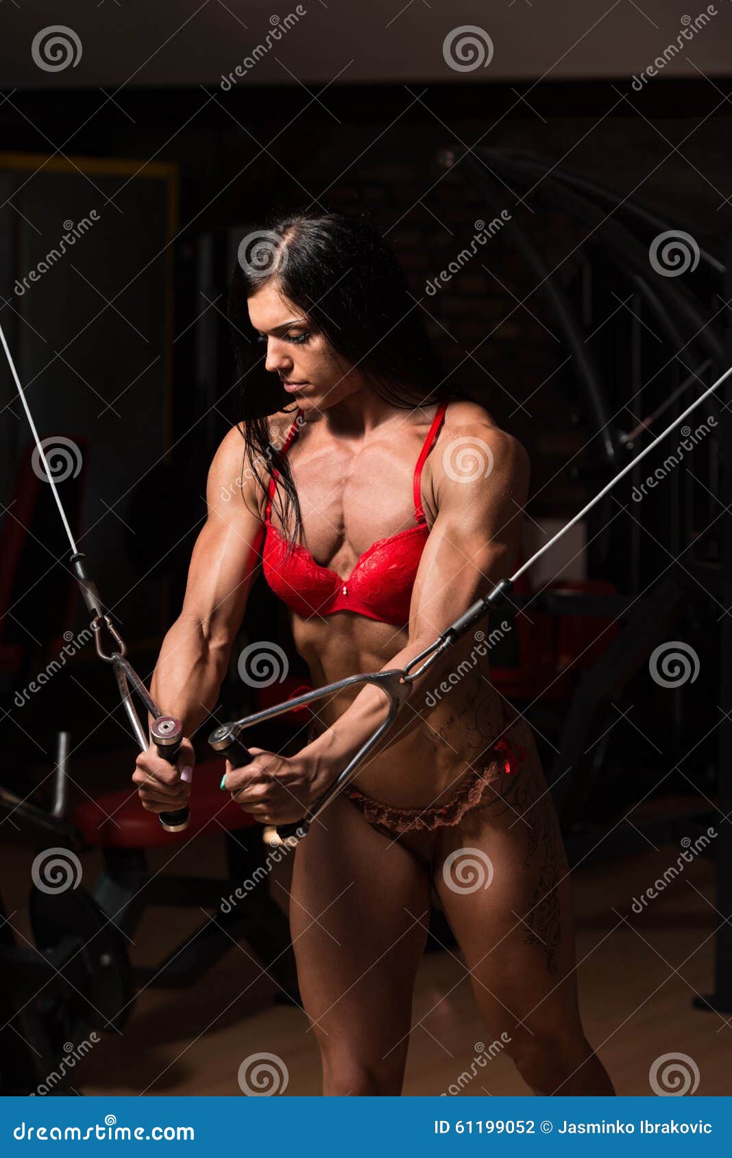 Chest Workout with Cables in Underwear Stock Photo - Image of muscle, female:  61199052