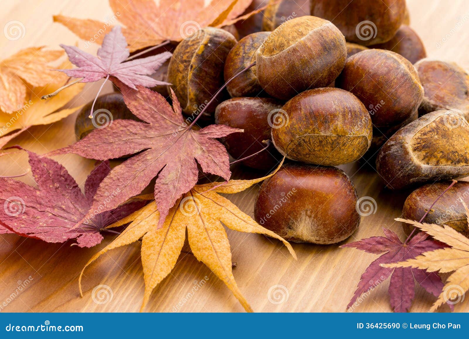 Chestnut and Dry Maple Leave Stock Photo - Image of chestnut, group