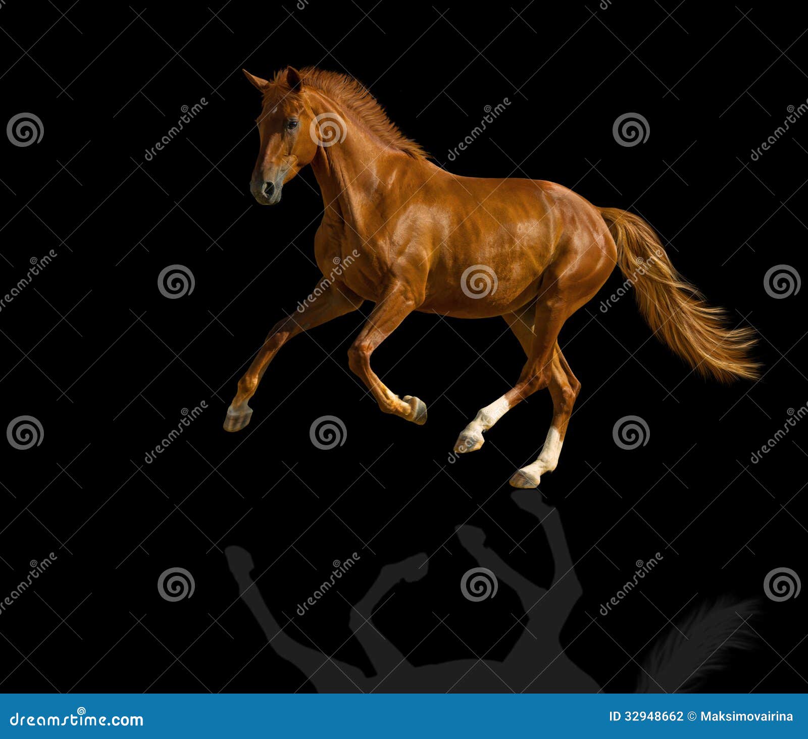 Chestnut Horse Grazing Near The Wooden House Barn Stock Photography