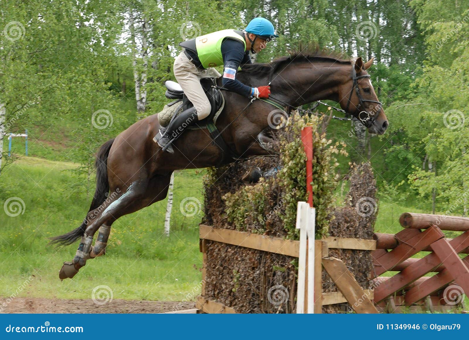 Chestnut horse jumping editorial photo. Image of competitive 11349946