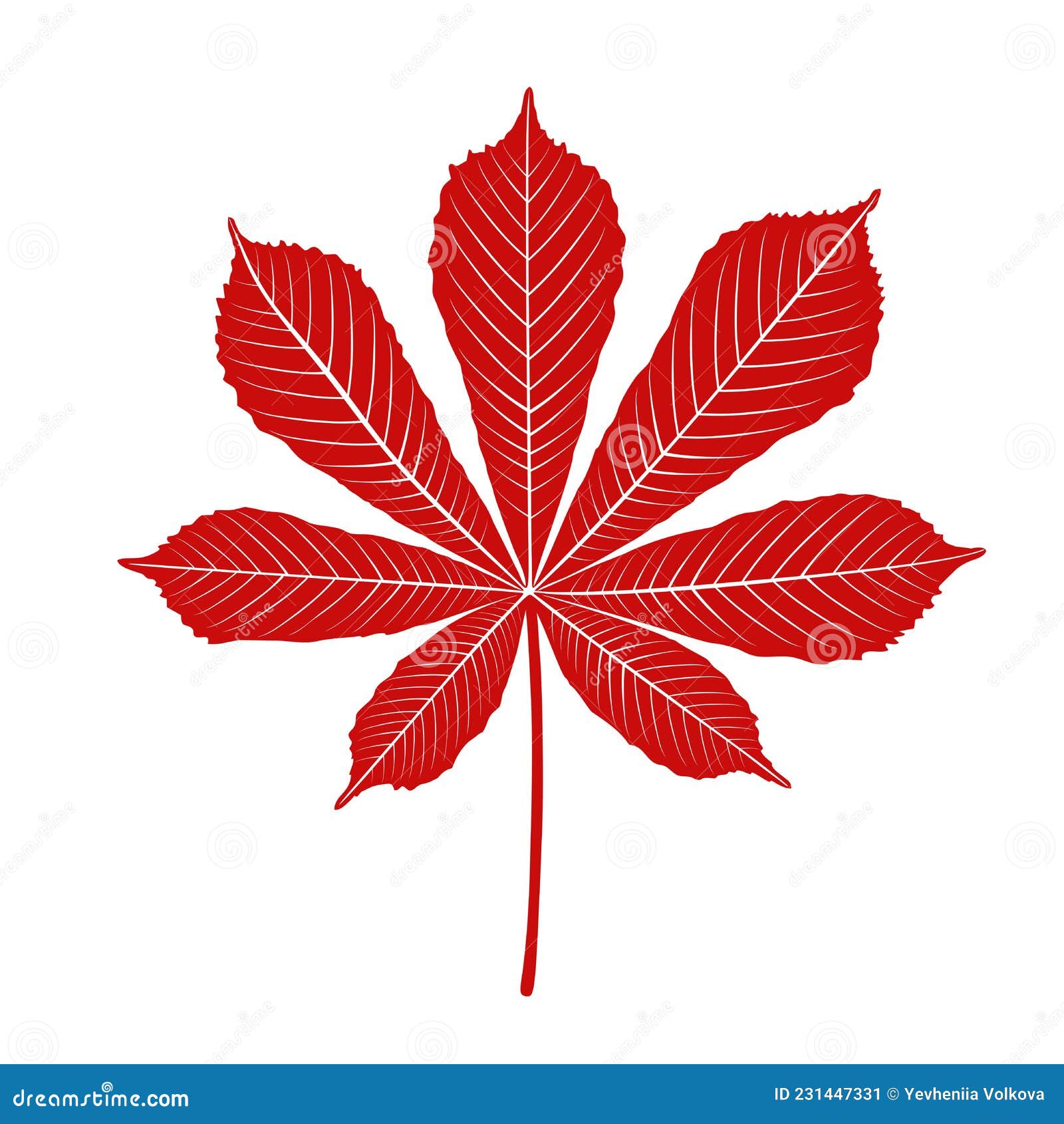 Chestnut Leaf. Linear, Silhouette. Vector Illustration CartoonDealer