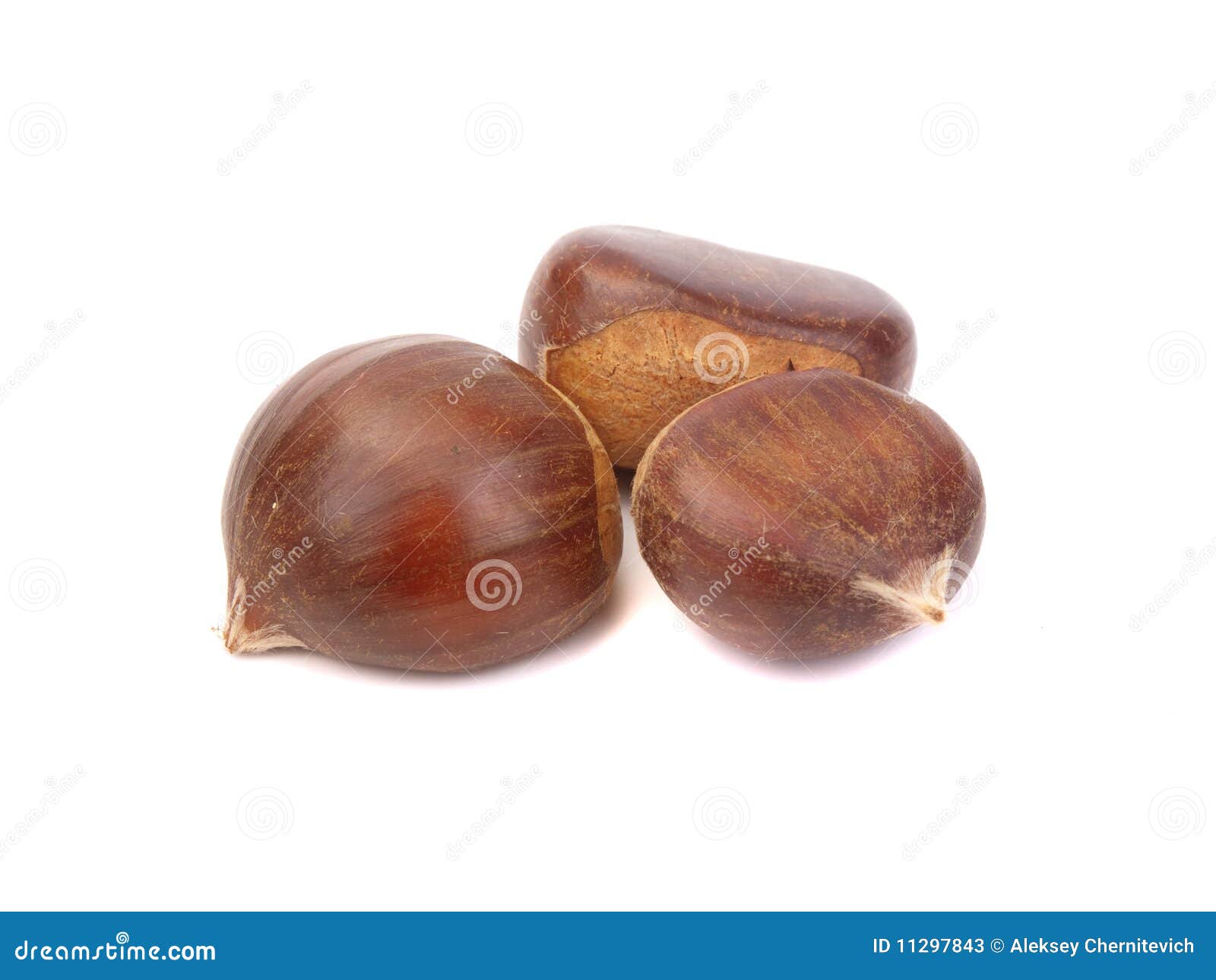 Chestnuts stock image. Image of peel, nature, agriculture 11297843