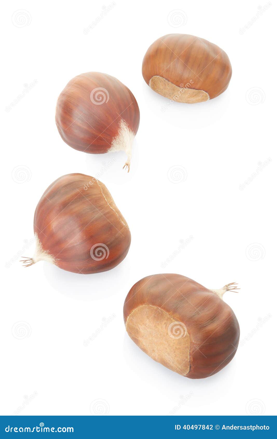 Chestnuts collection stock photo. Image of sweet, chestnut 40497842
