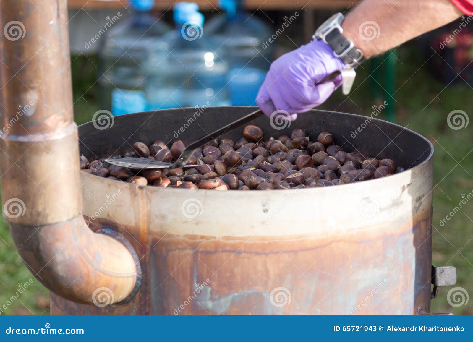 Chestnuts. stock image. Image of nature,