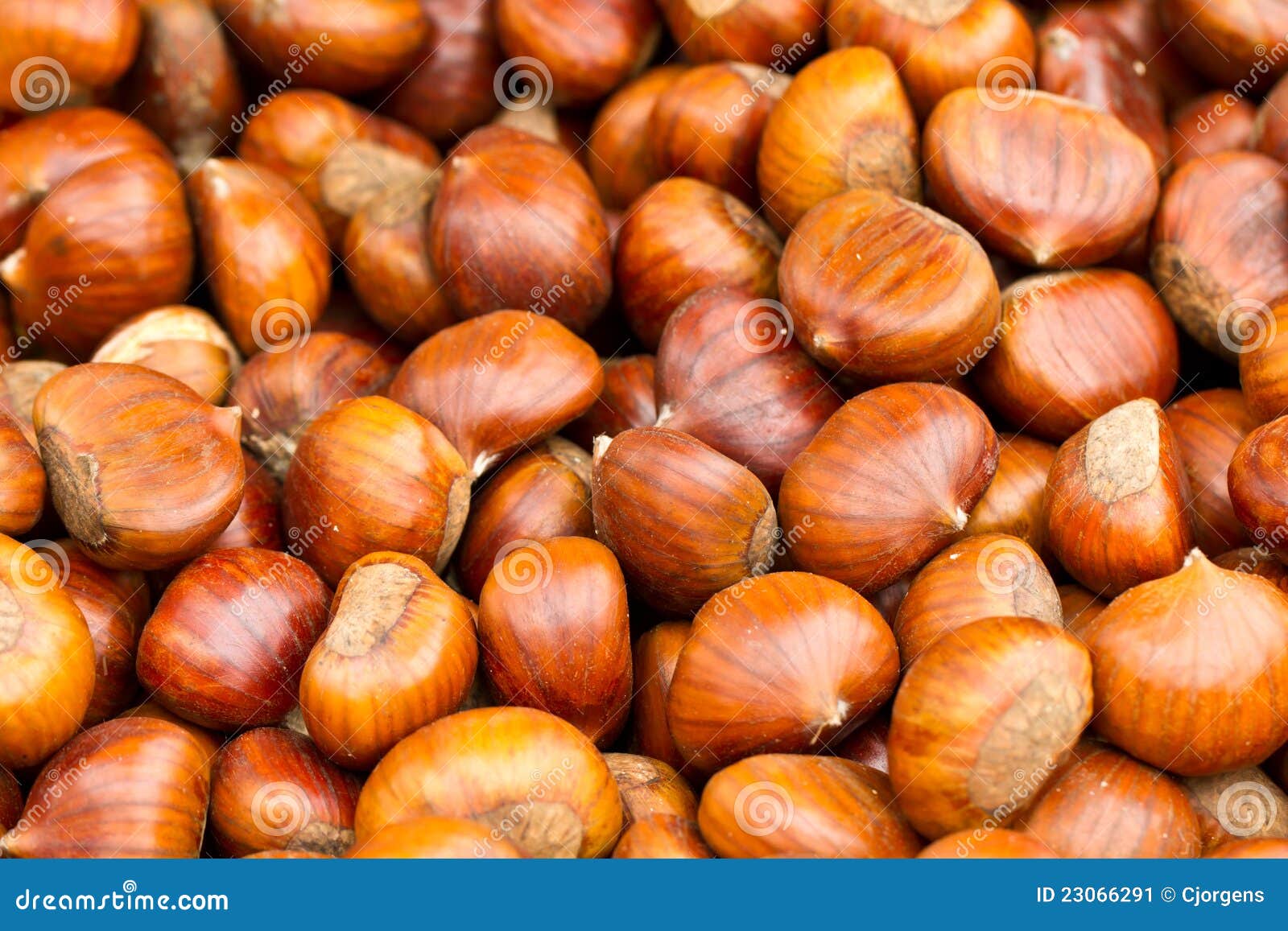 Chestnuts for sale stock image. Image of fresh, chestnuts 23066291