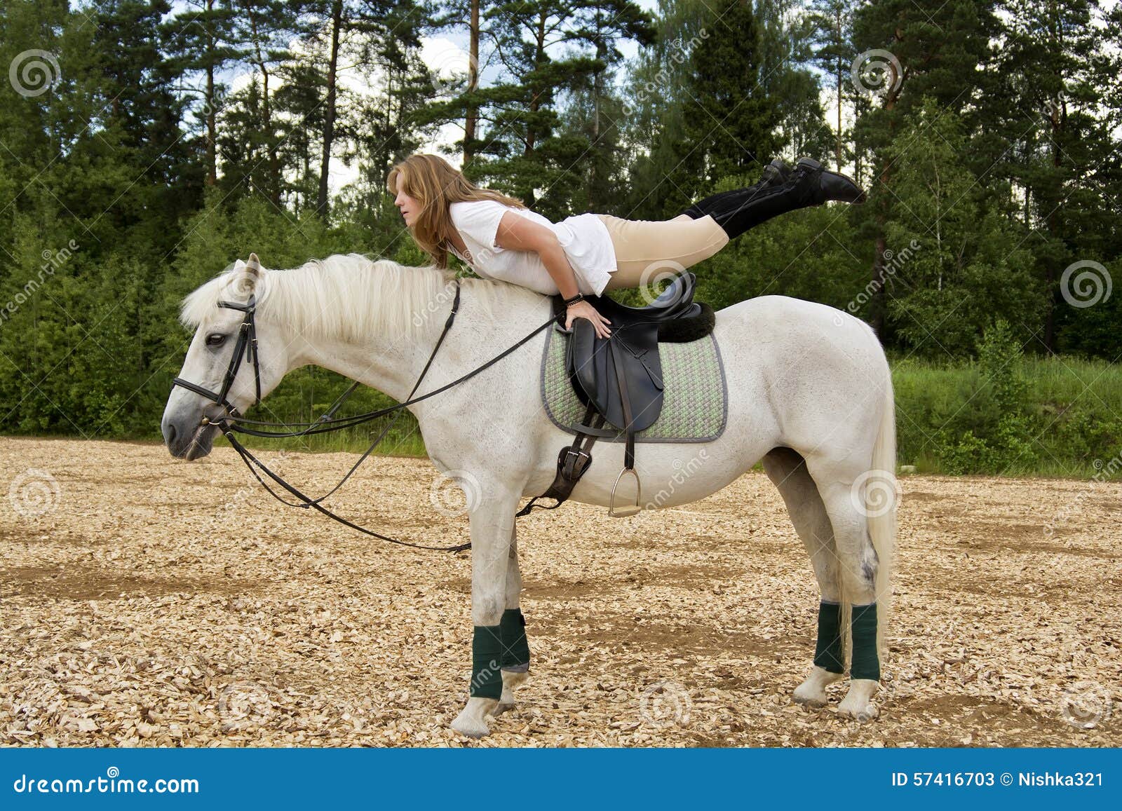 Cheval et femme image stock. Image du dame, nature, normal 57416703