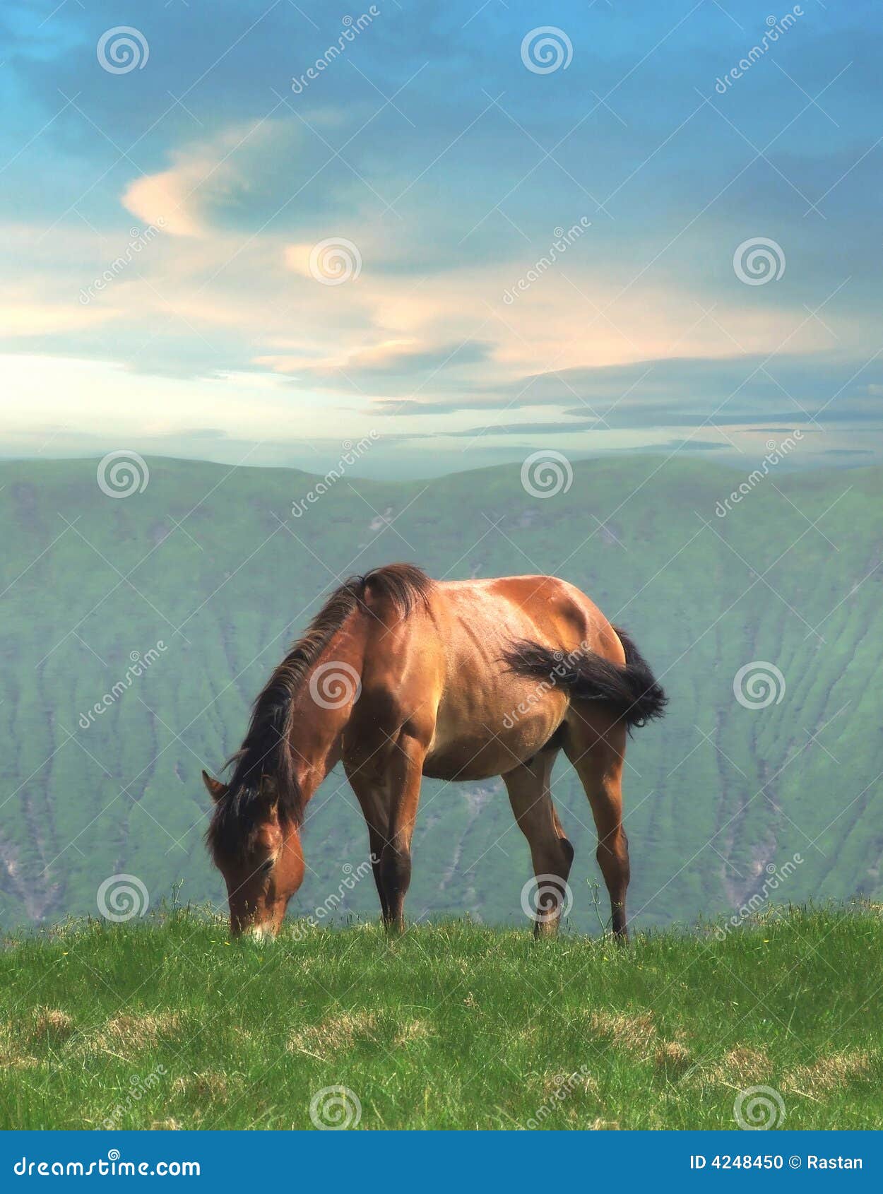 Une illustration de cheval seul pâturant sur la côte