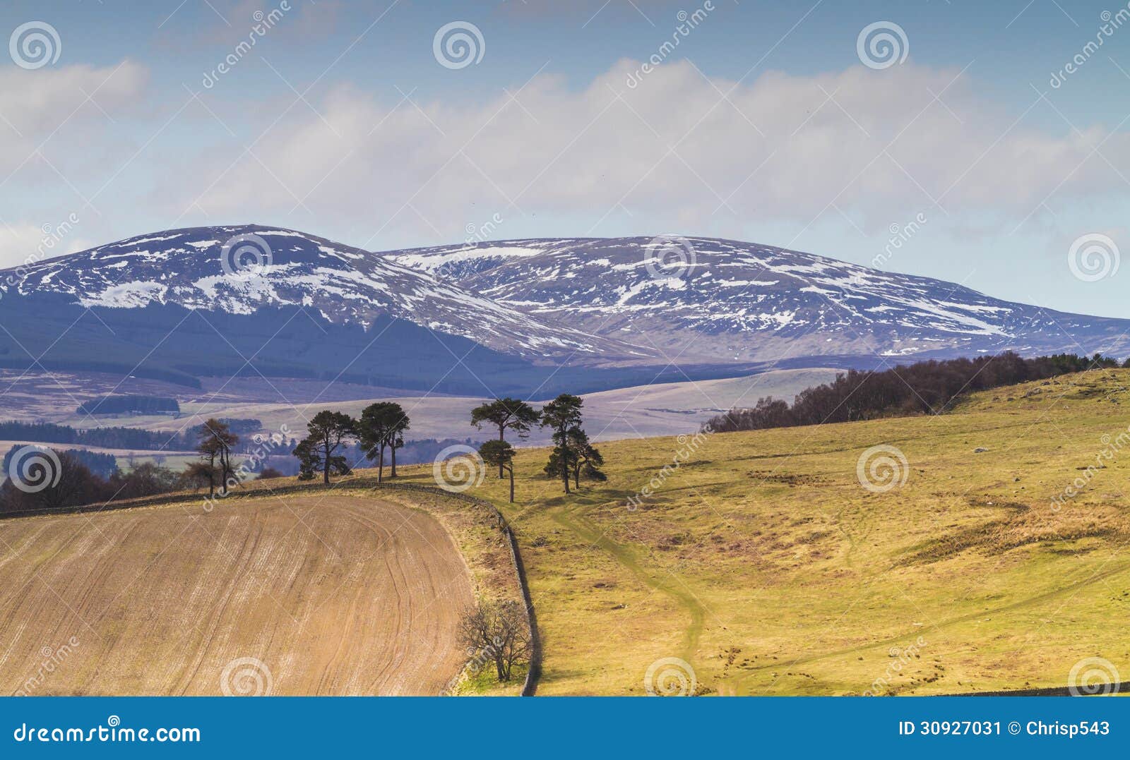 Cheviot Hills, Northumbria, UK Stock Image Image of green, north