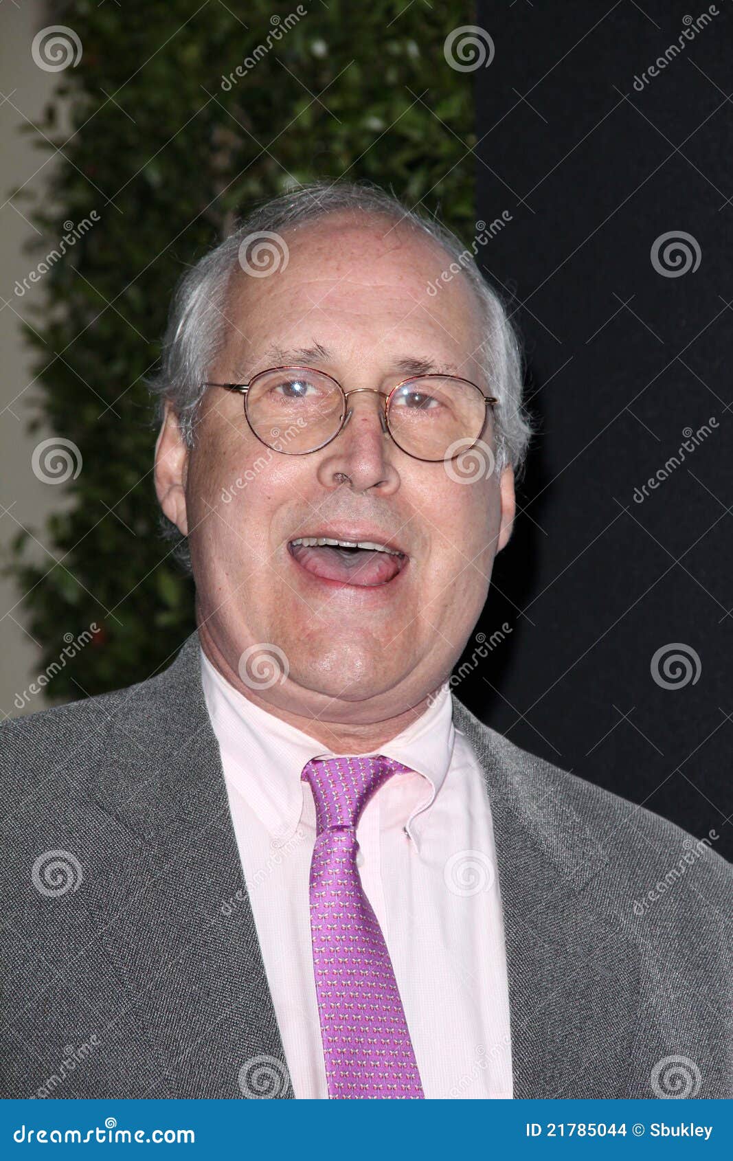 Chevy Chase editorial stock image. Image of hollywood 21785044