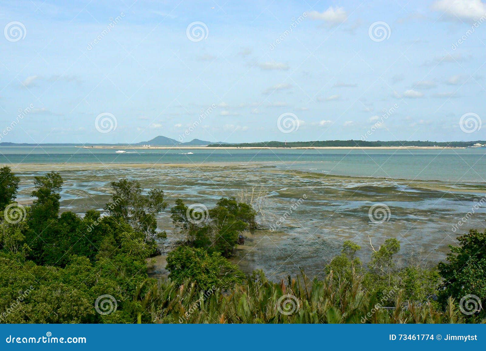 chek jawa wetlands - aerial view