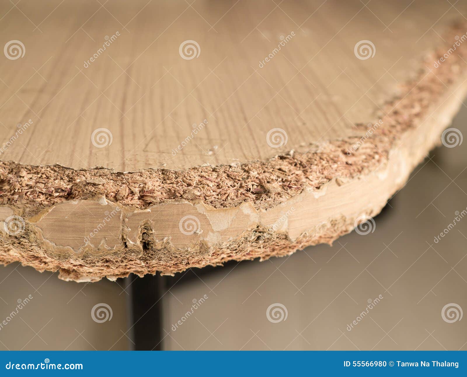 Chewed wooden table stock photo. Image of friend, blooey 55566980
