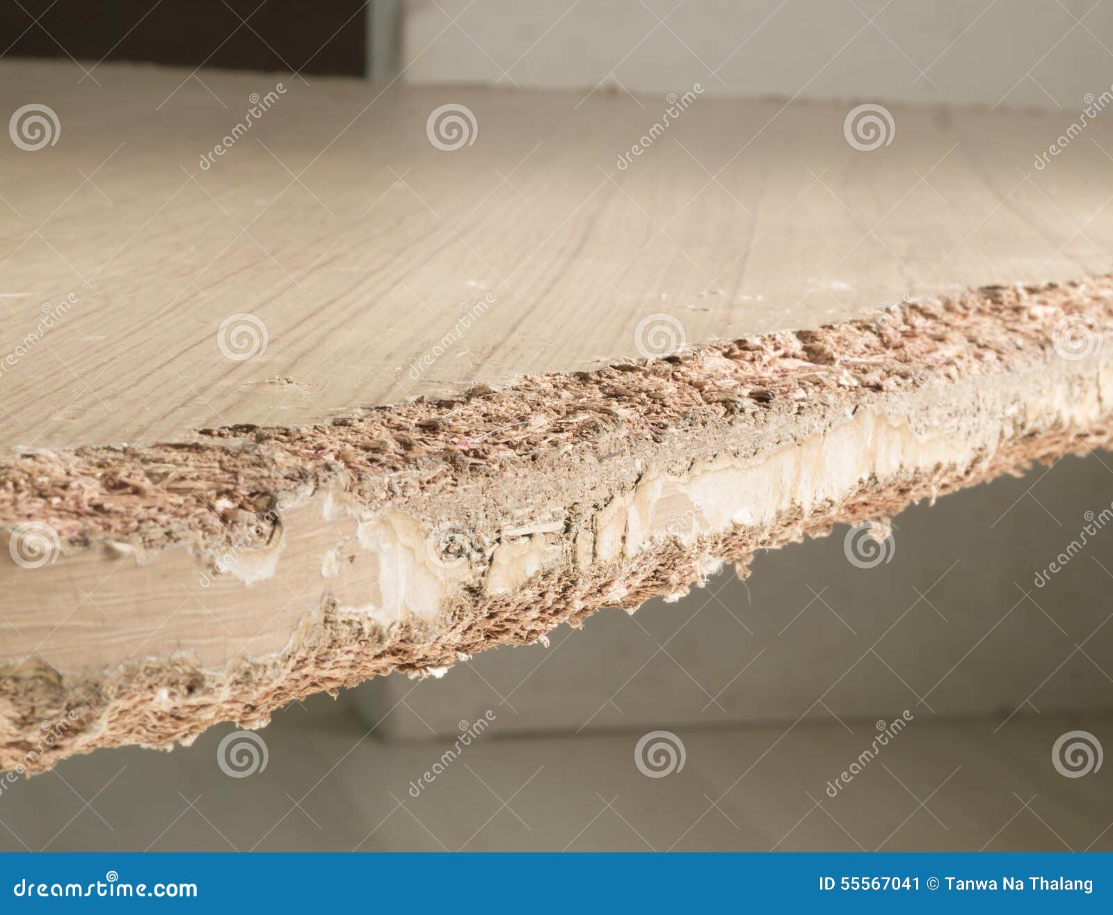 Chewed wooden table stock image. Image of nibble, blooey 55567041