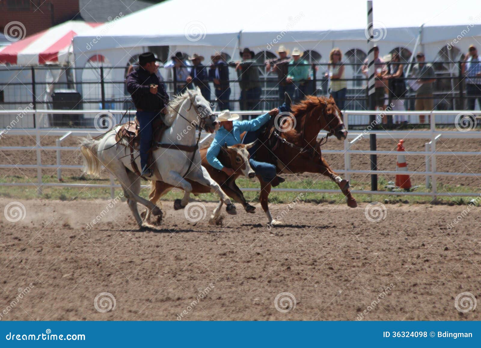 Cheyenne Frontier Days Rodeo 2013 Photo stock éditorial Image du