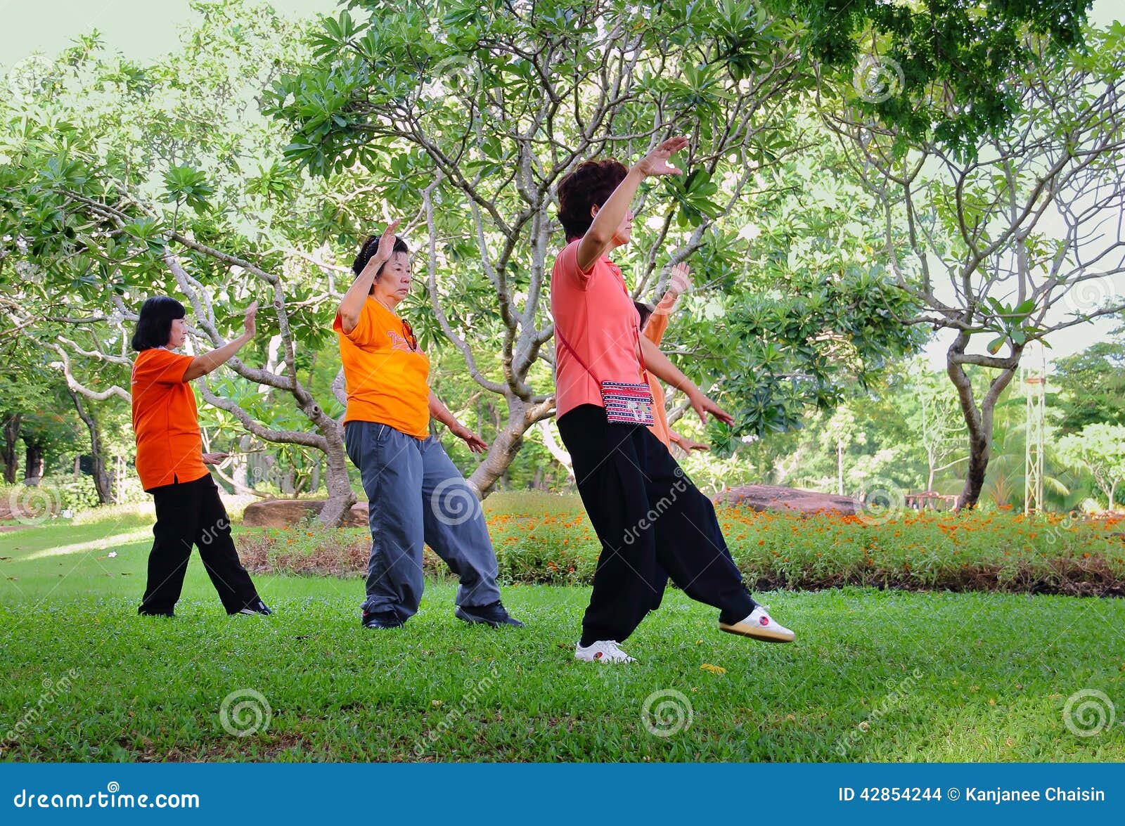 Chi dziewczyn silueta tai wektor. Bangkok, lipiec 24, 2014: Starszy Azjatycki ćwiczenie, Tai Chi dla zdrowie przy parkiem w Bangkok, Tajlandia na Lipu 24, 2014