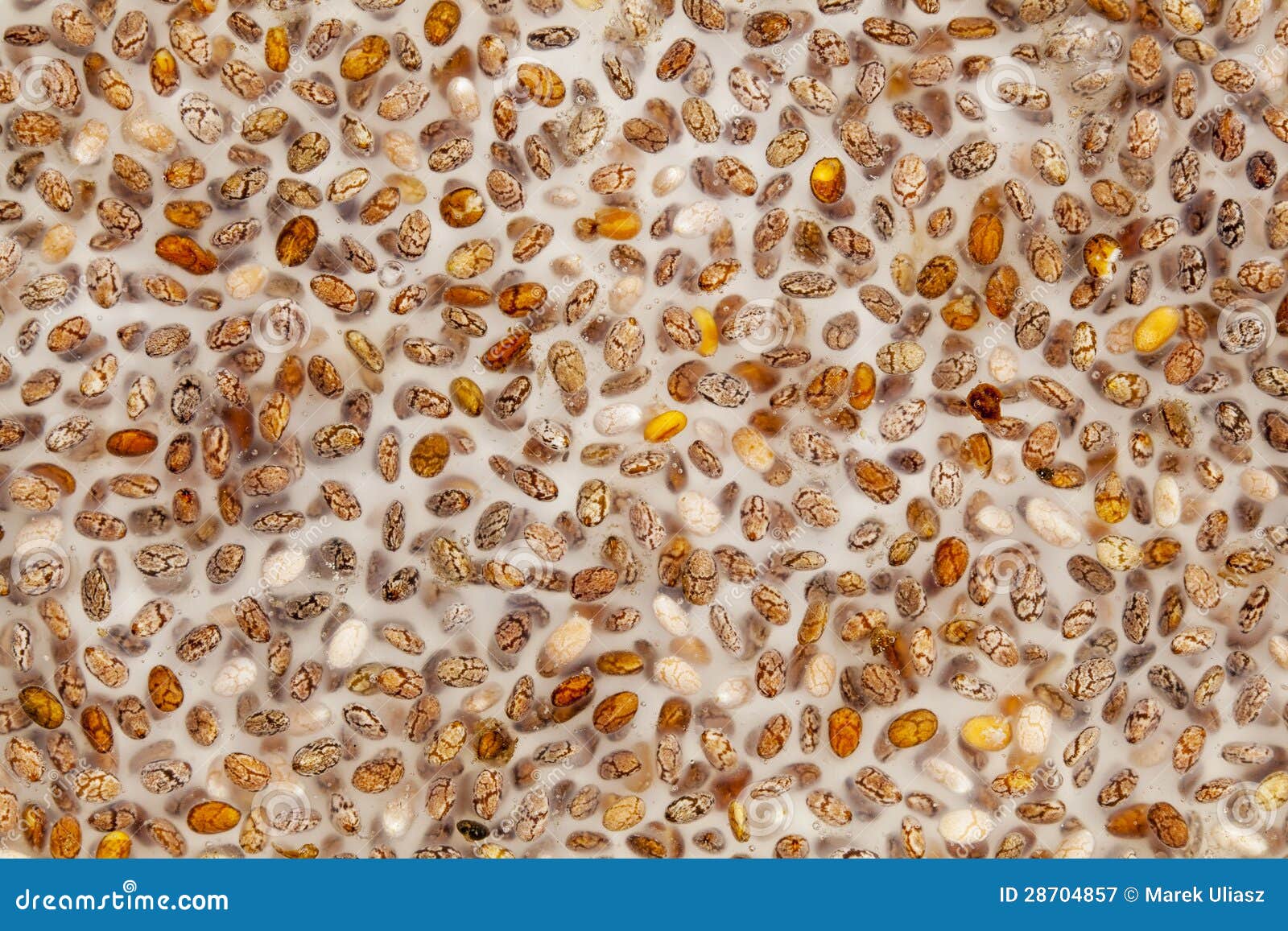 Chia seed gel stock image. Image of ingredient, omega3 28704857