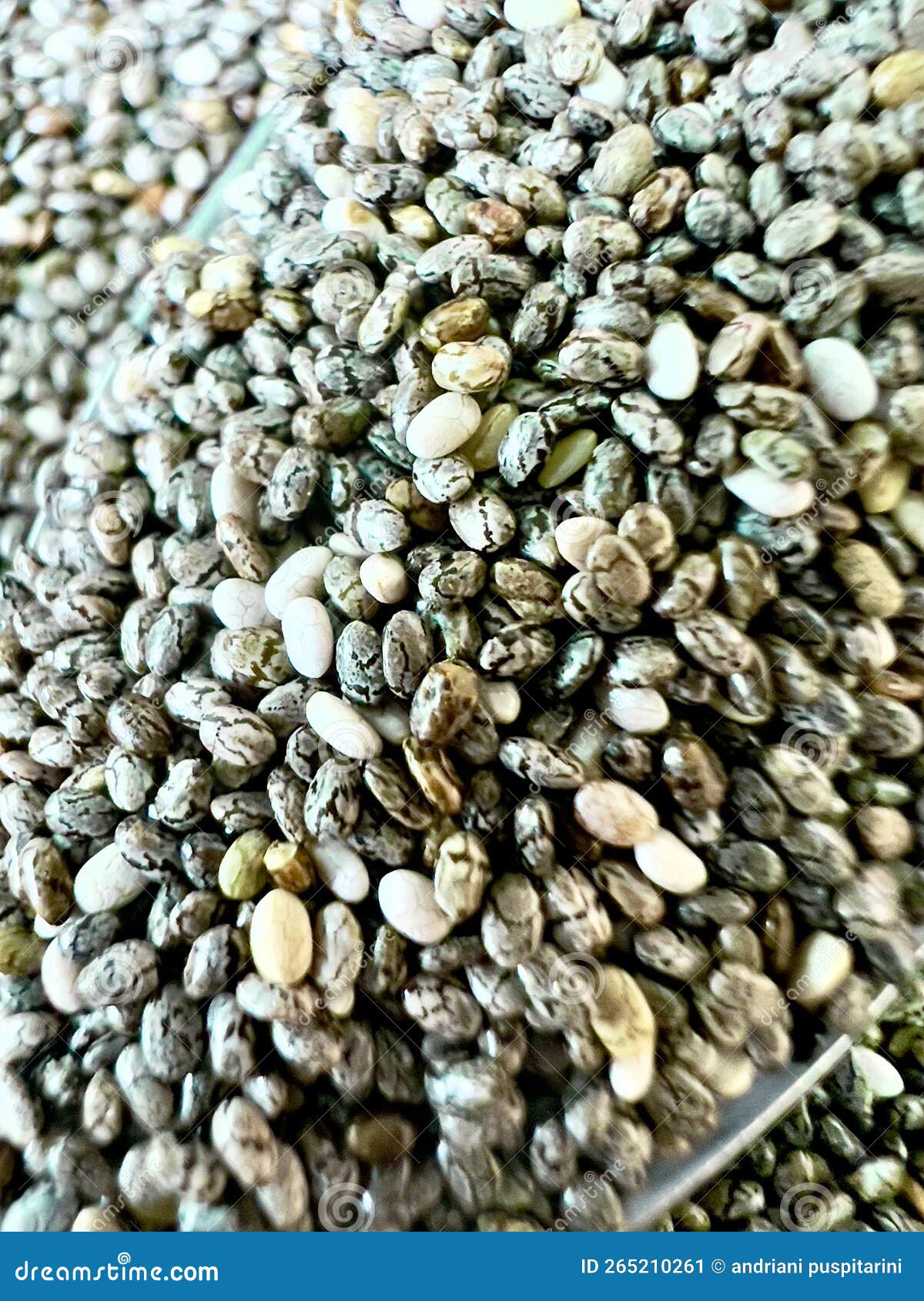 Chia seed stock image. Image of gray, ingredient, charming 265210261