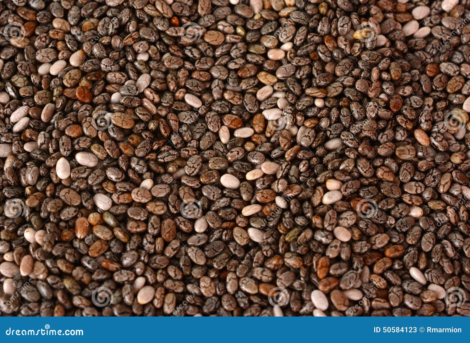 Chia Seeds stock image. Image of pile, supplement, seed ...