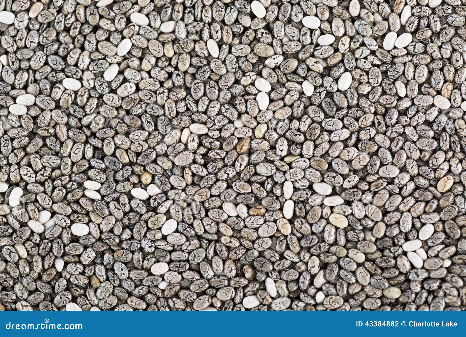 Chia Seeds Texture stock photo. Image of seeds, organic 43384882