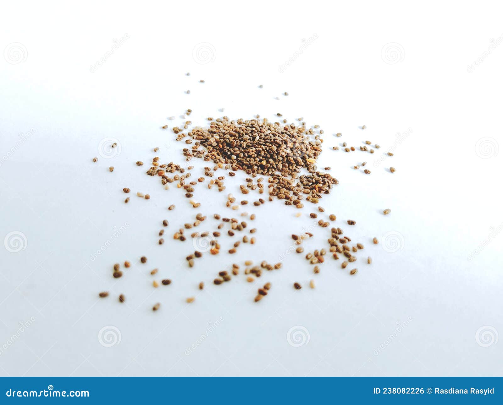 chia seeds are the tiny seeds of the salvia hispanics plant