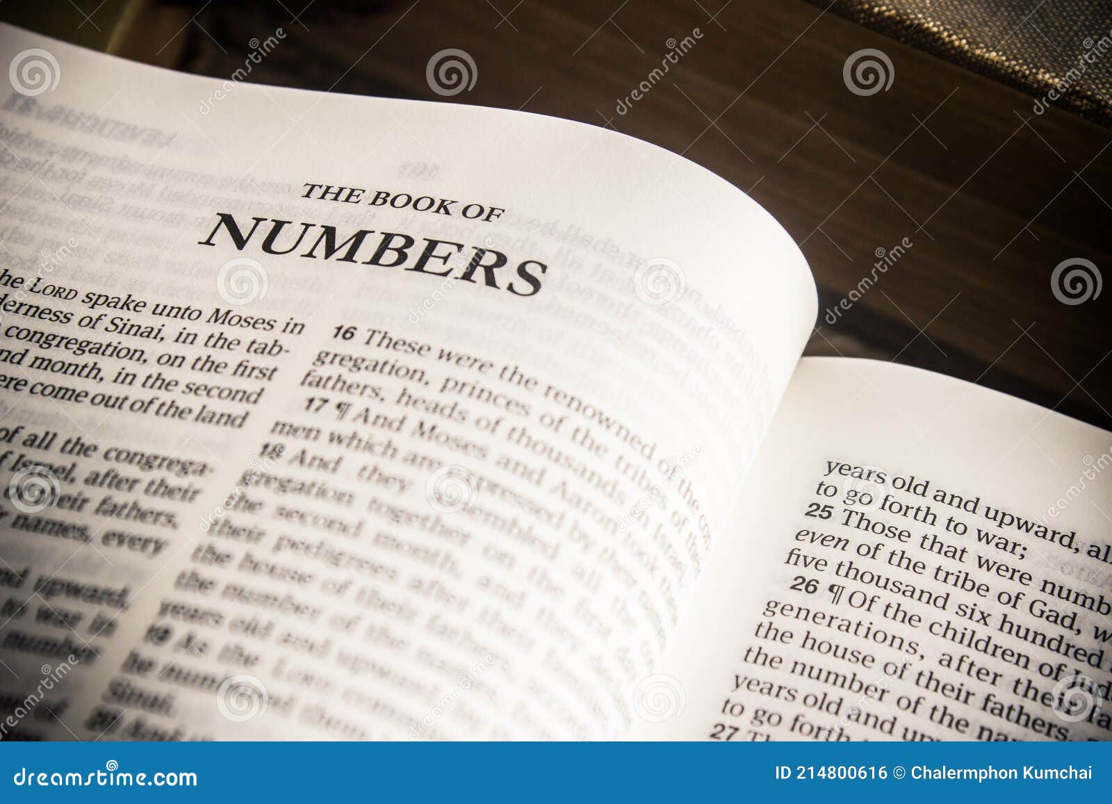 Numbers Numbers
