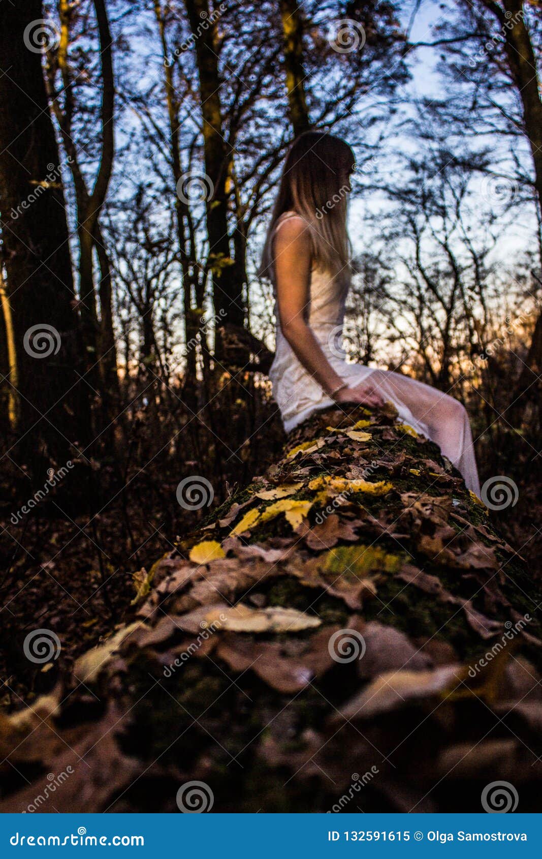 Chica Joven En Un Bosque Oscuro En Un Vestido Blanco Imagen De Archivo Imagen De Madera Joven 132591615