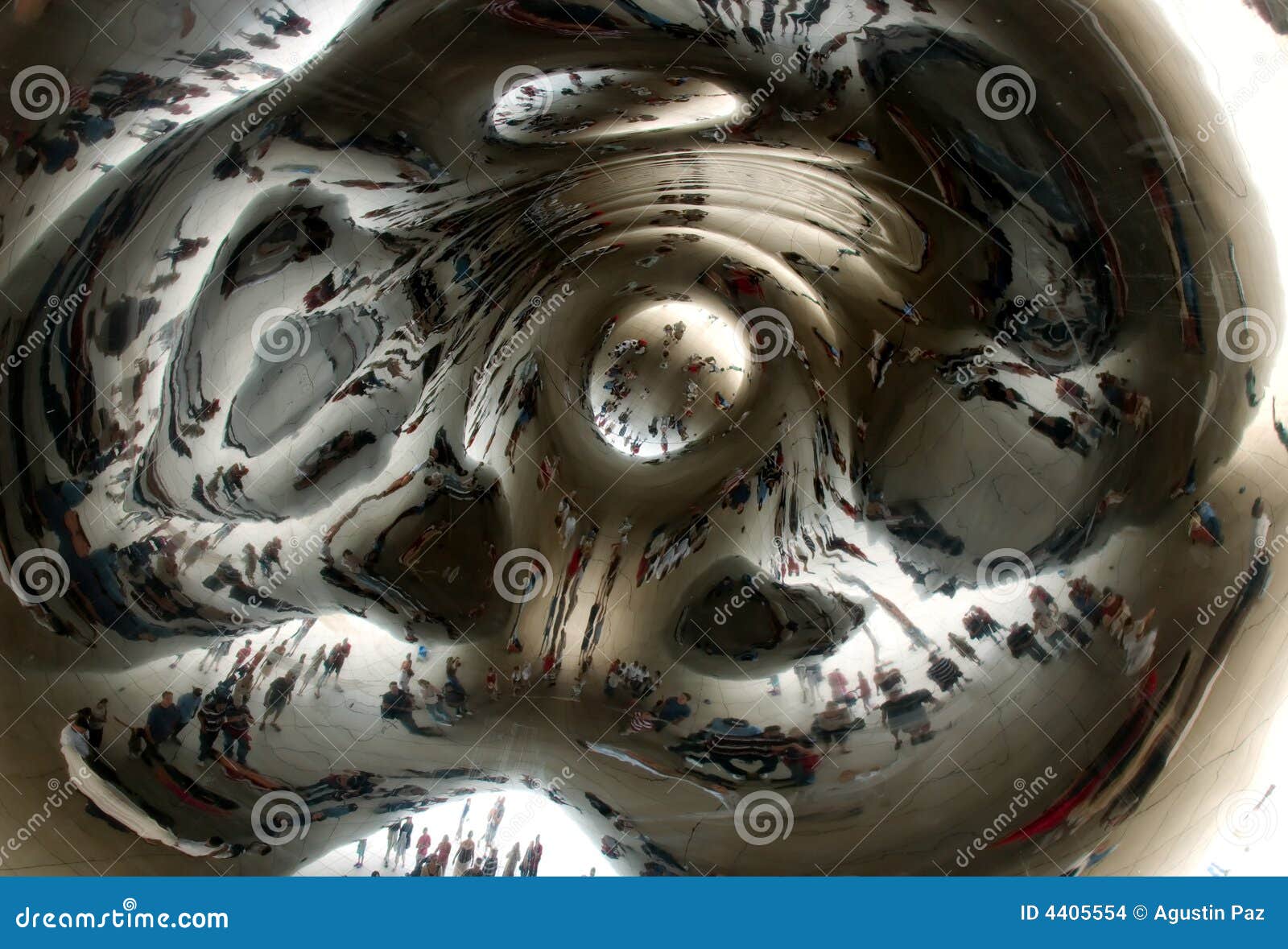 chicago bean shriveled chicago bean shriveled