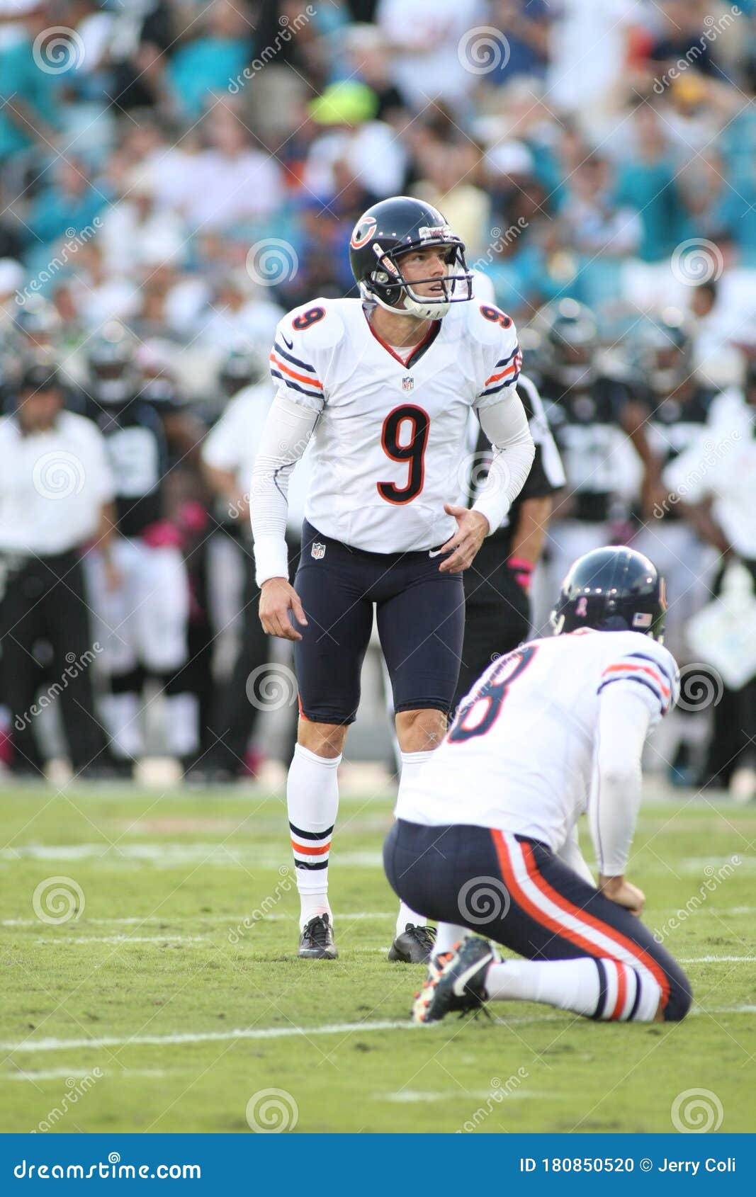 gould chicago bears