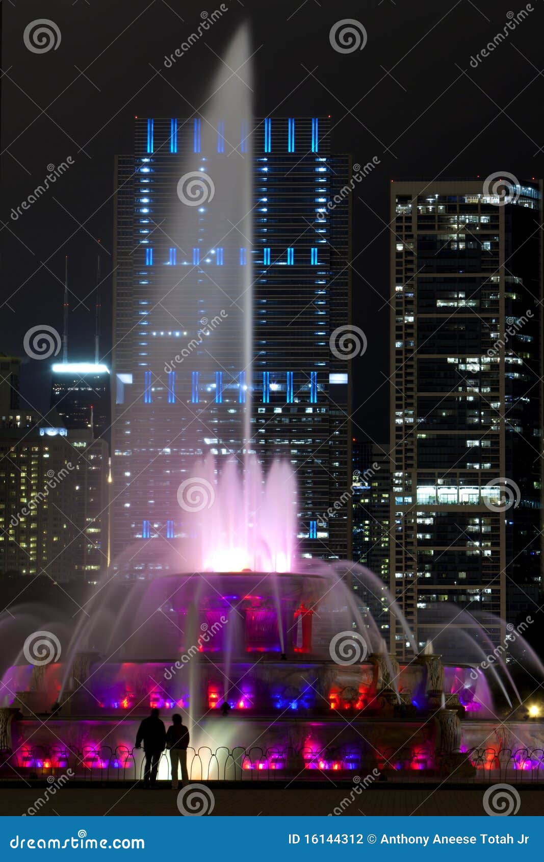 chicago famous fountain and skiline