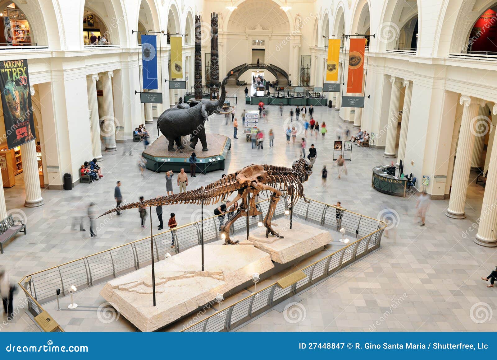 Chicago S Field Museum of Natural History Editorial Photography Image