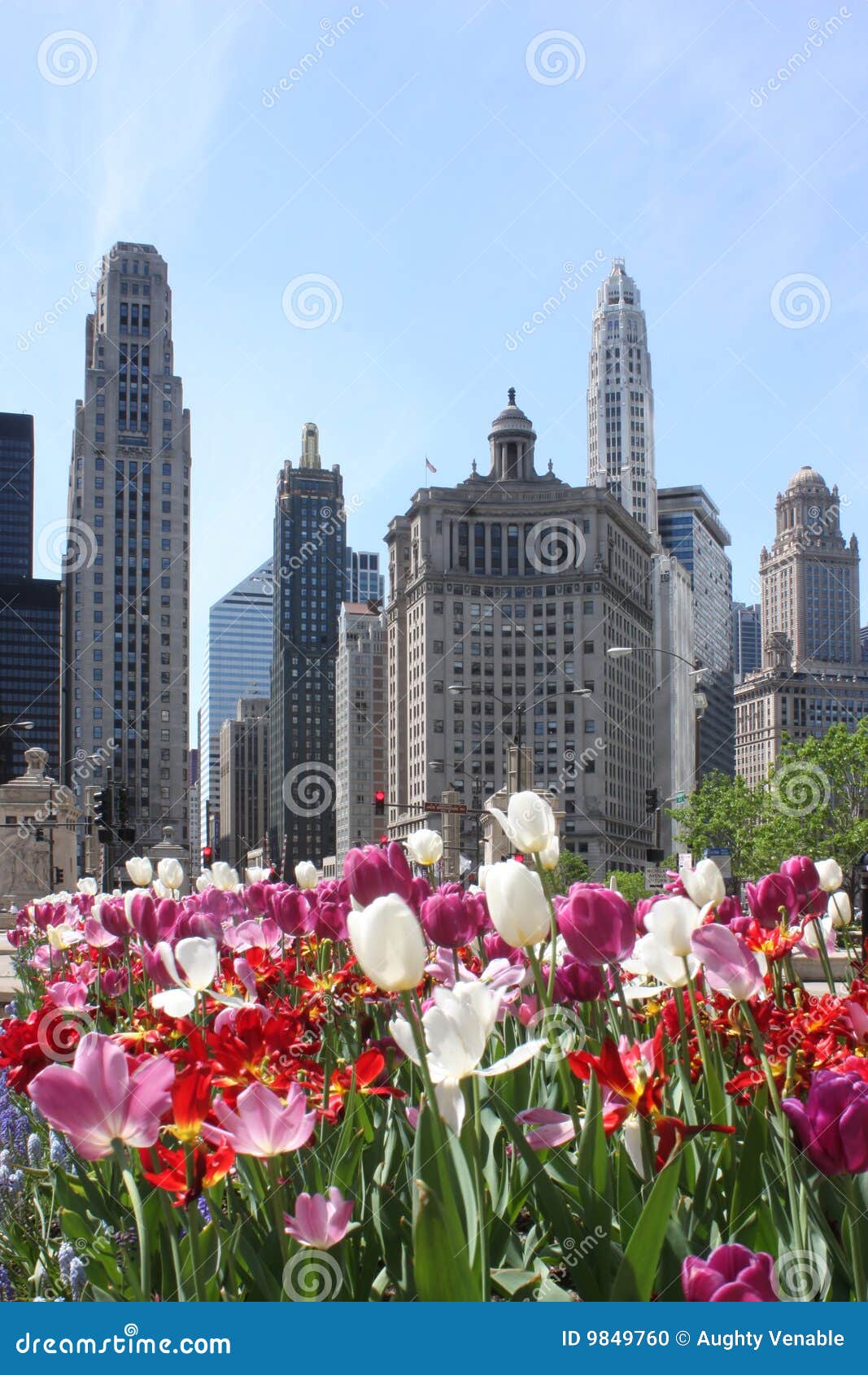 chicago skyline with flowers