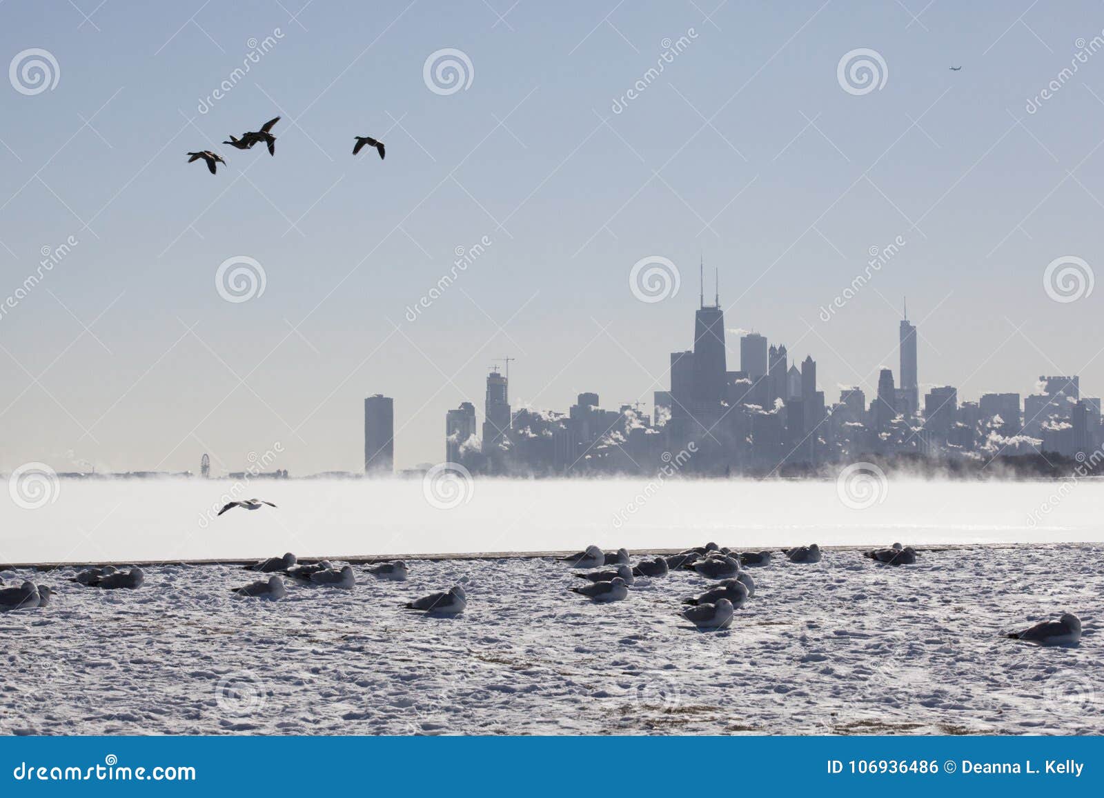 Chicago Winter Scene Empty Boat Docks And Skyline Stock Photo